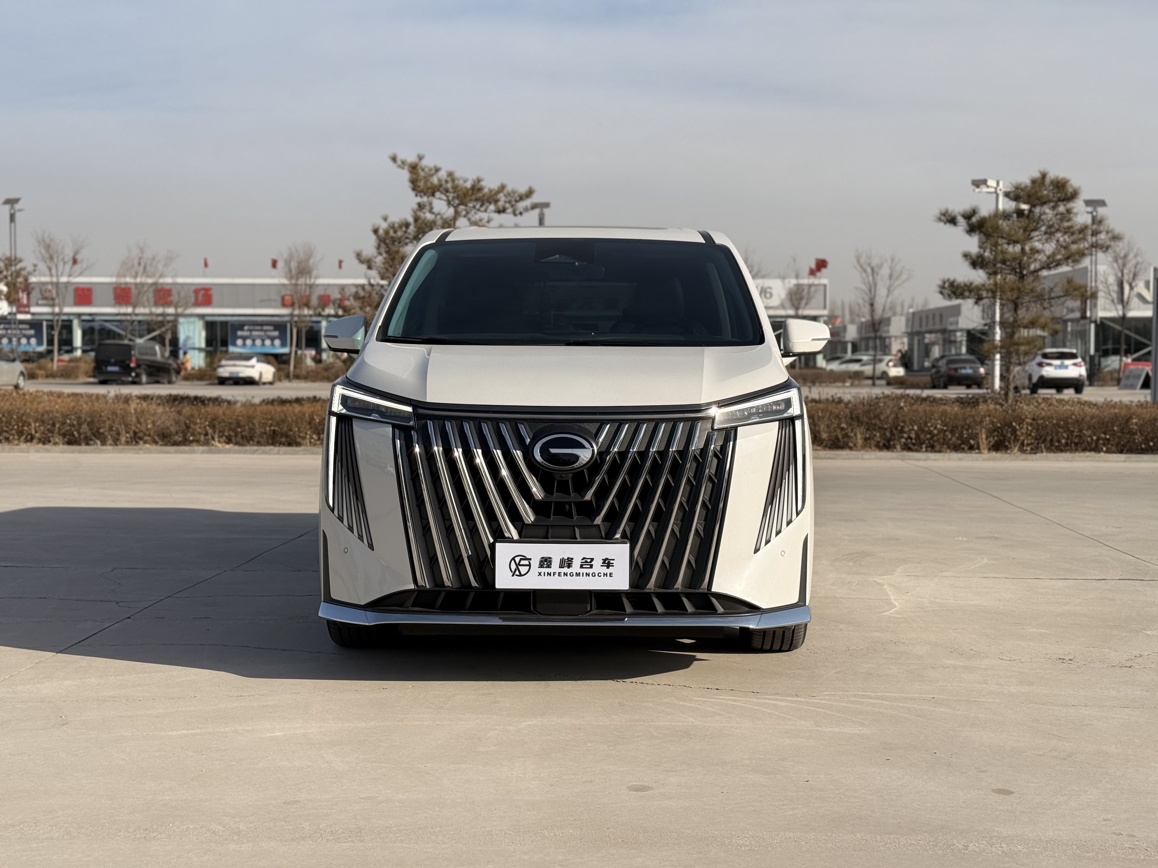 GAC Trumpchi M8 2024 car image #2