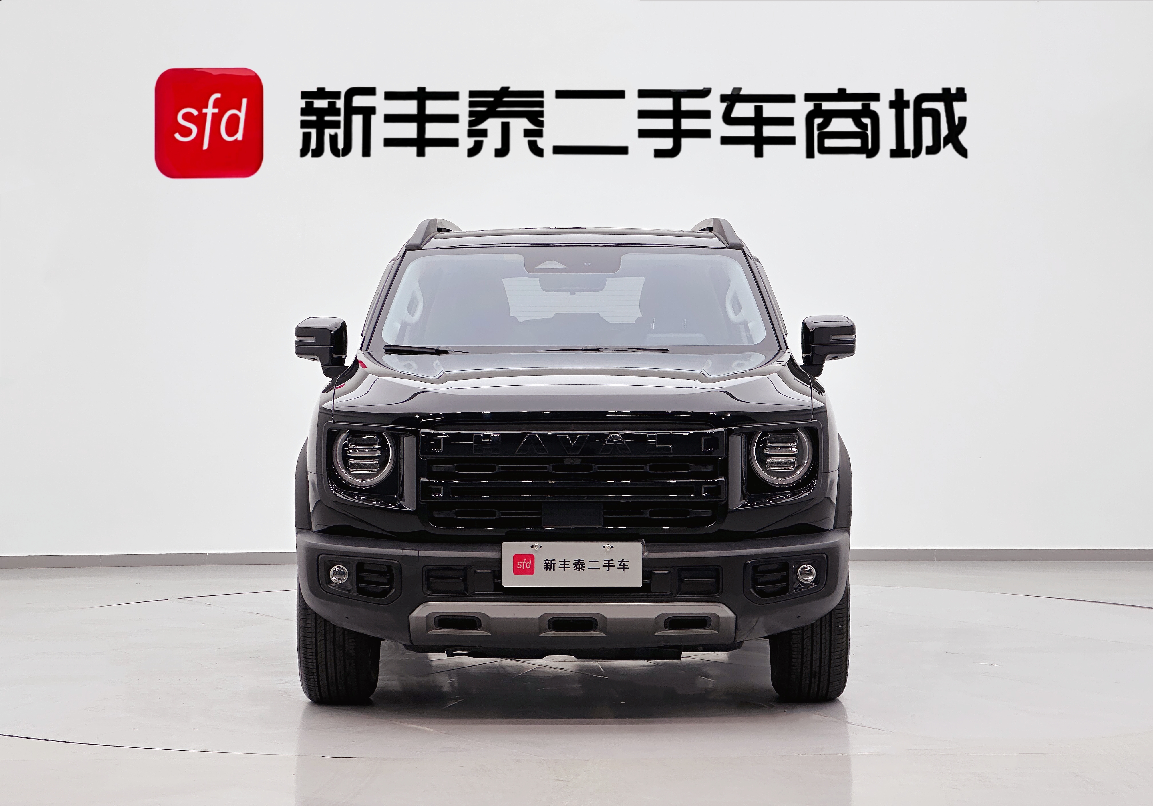 Haval X Dog / Dargo 2023 #2 Haval X Dog / Dargo 2023 immagine di auto #2