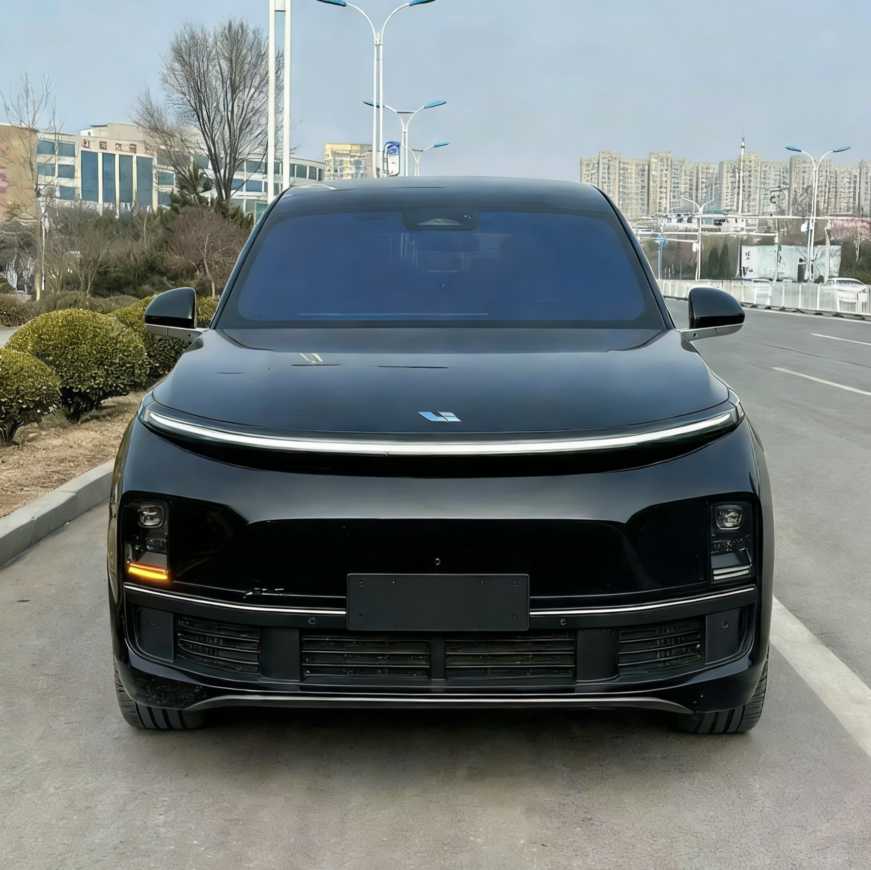 Li L9 2024 صورة سيارة #2