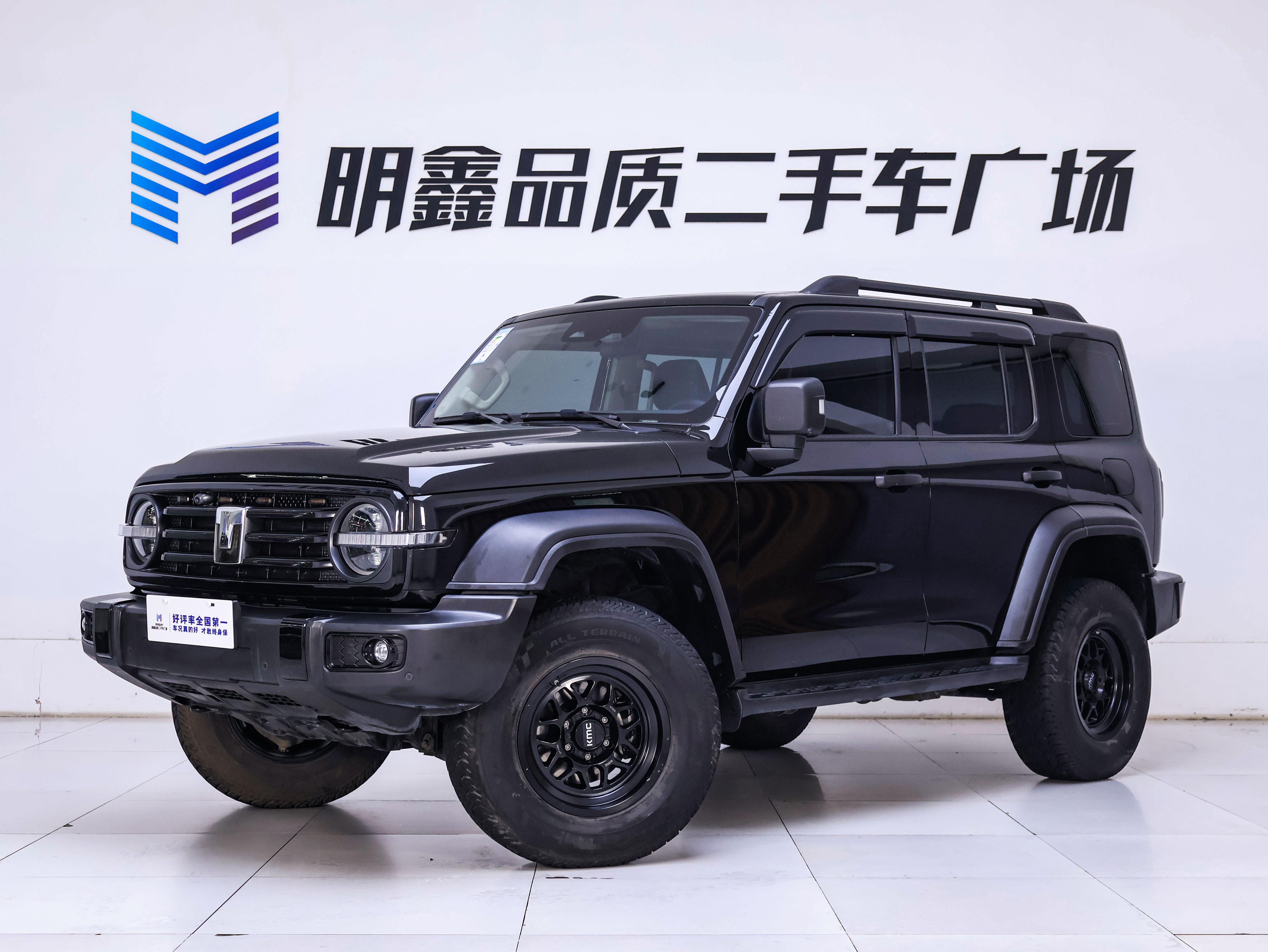 Tank 300 2023 immagine di auto #2