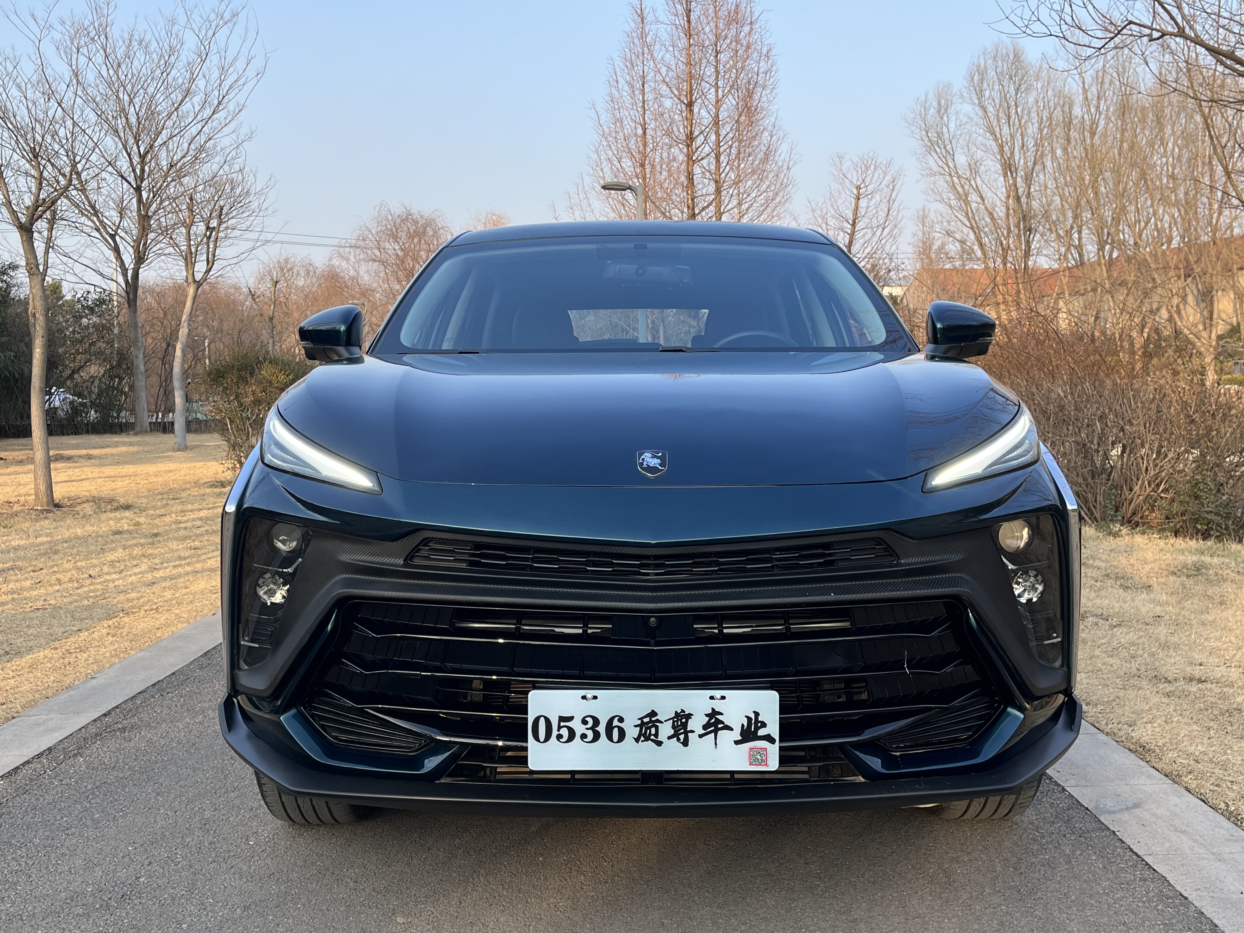 Forthing T5 EVO 2024 car image #2