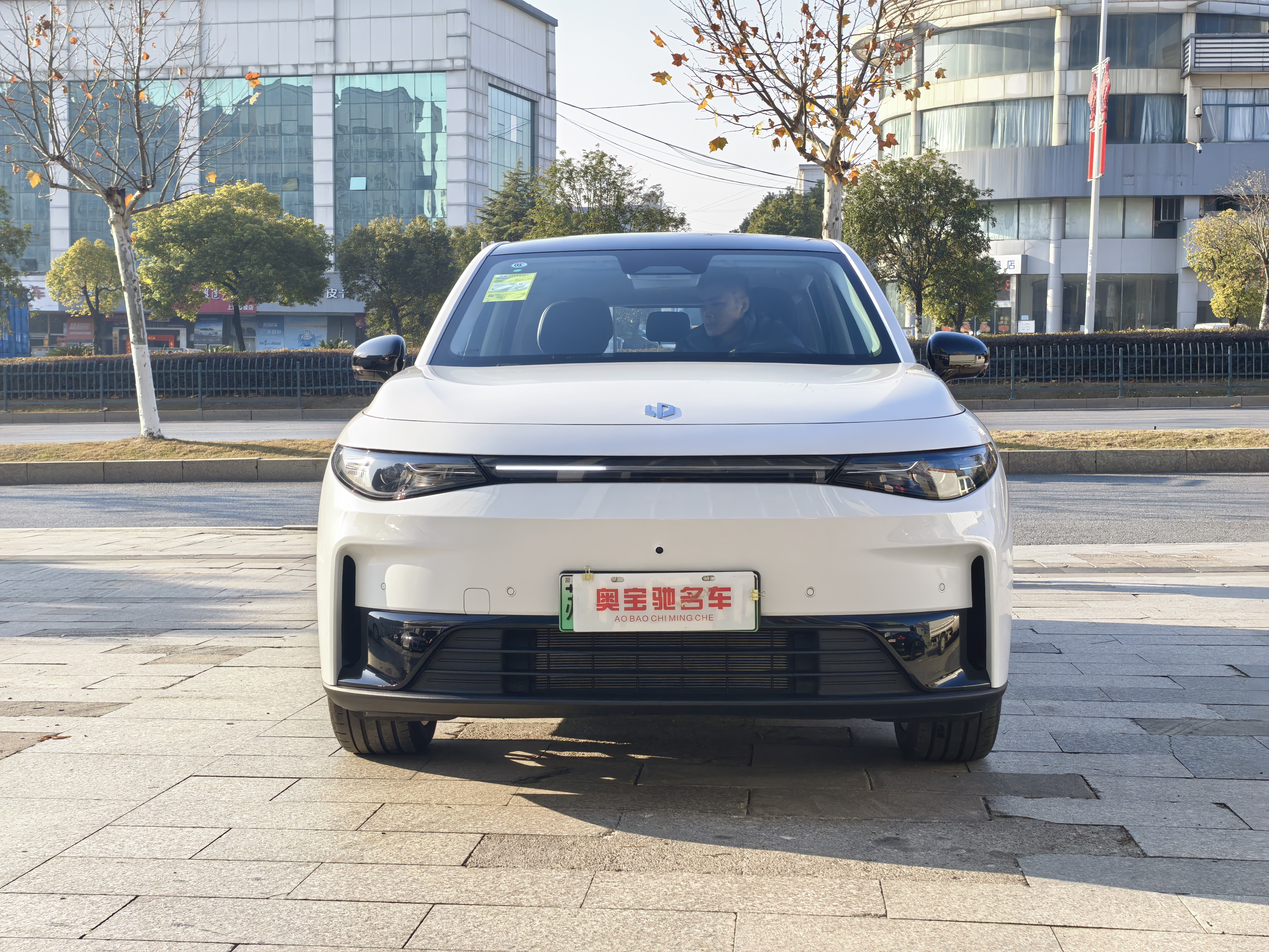 零跑汽车 零跑C10 2026 汽车图片 #2