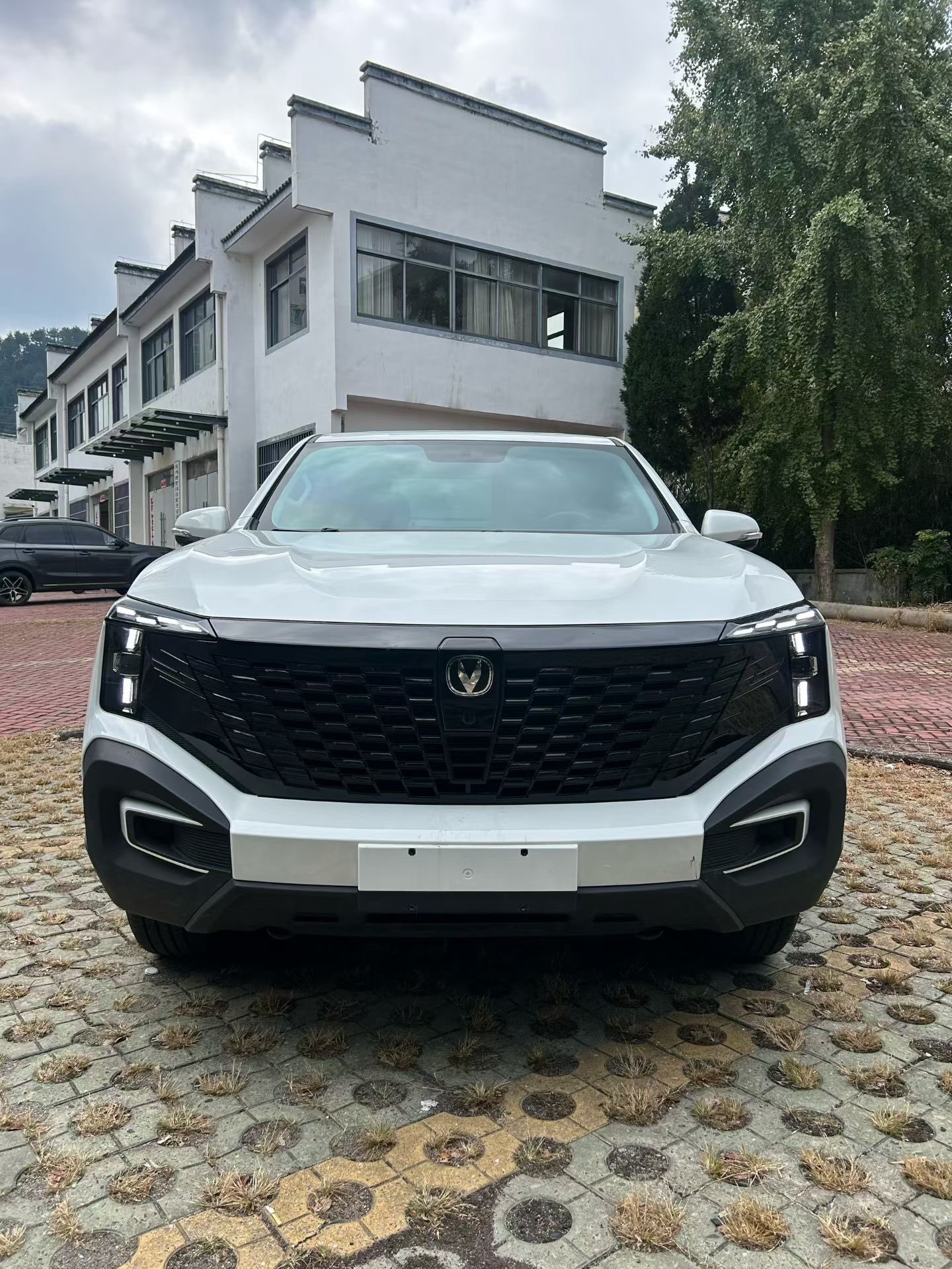 Changan Hunter 2025 immagine di auto #2