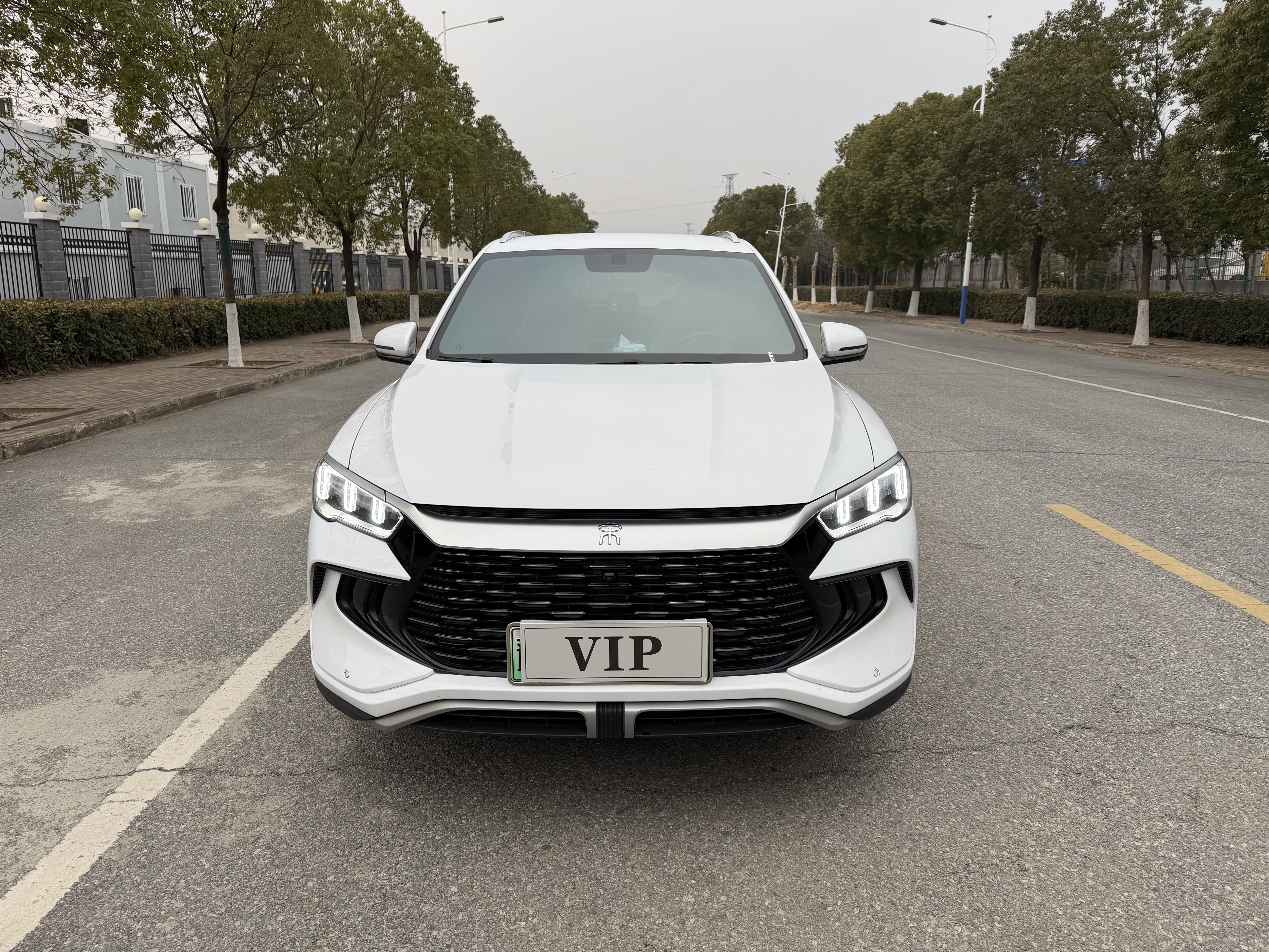 BYD Song Pro New Energy 2025 car image #2