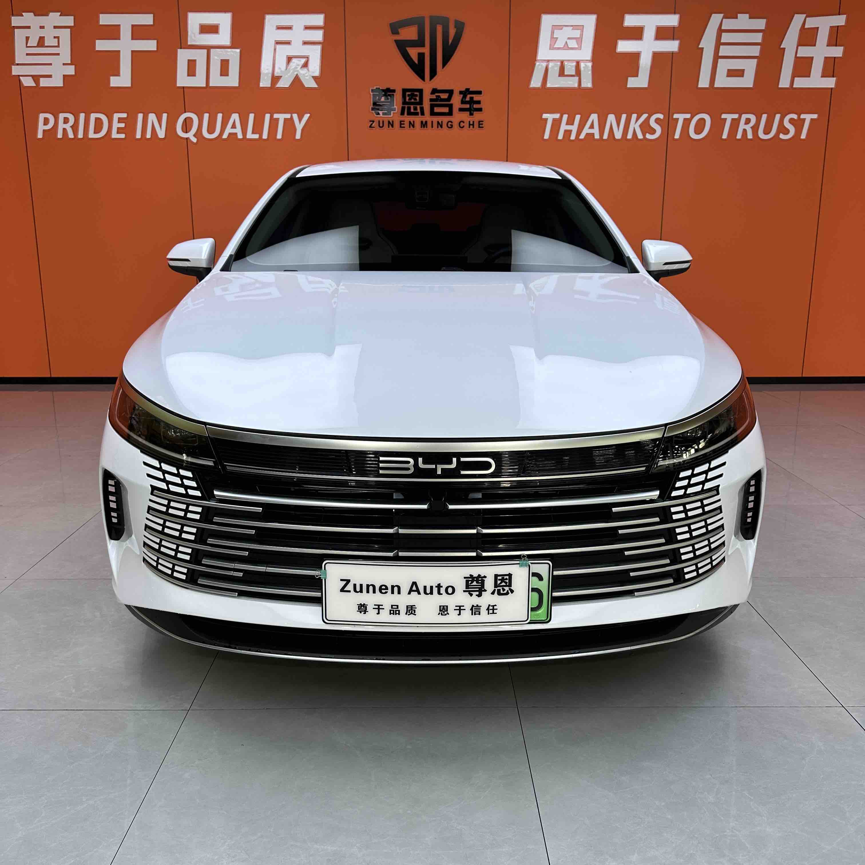 BYD Destroyer 05 2024 imagen de coche #2