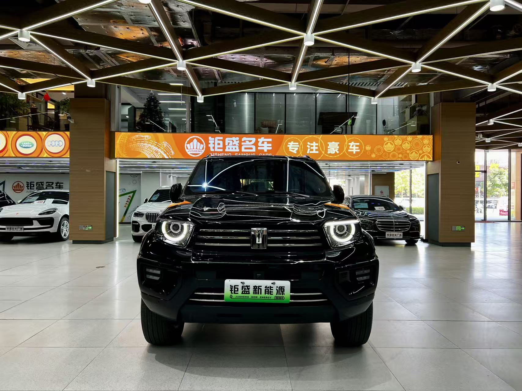 Tank 700 New Energy 2024 car image #2