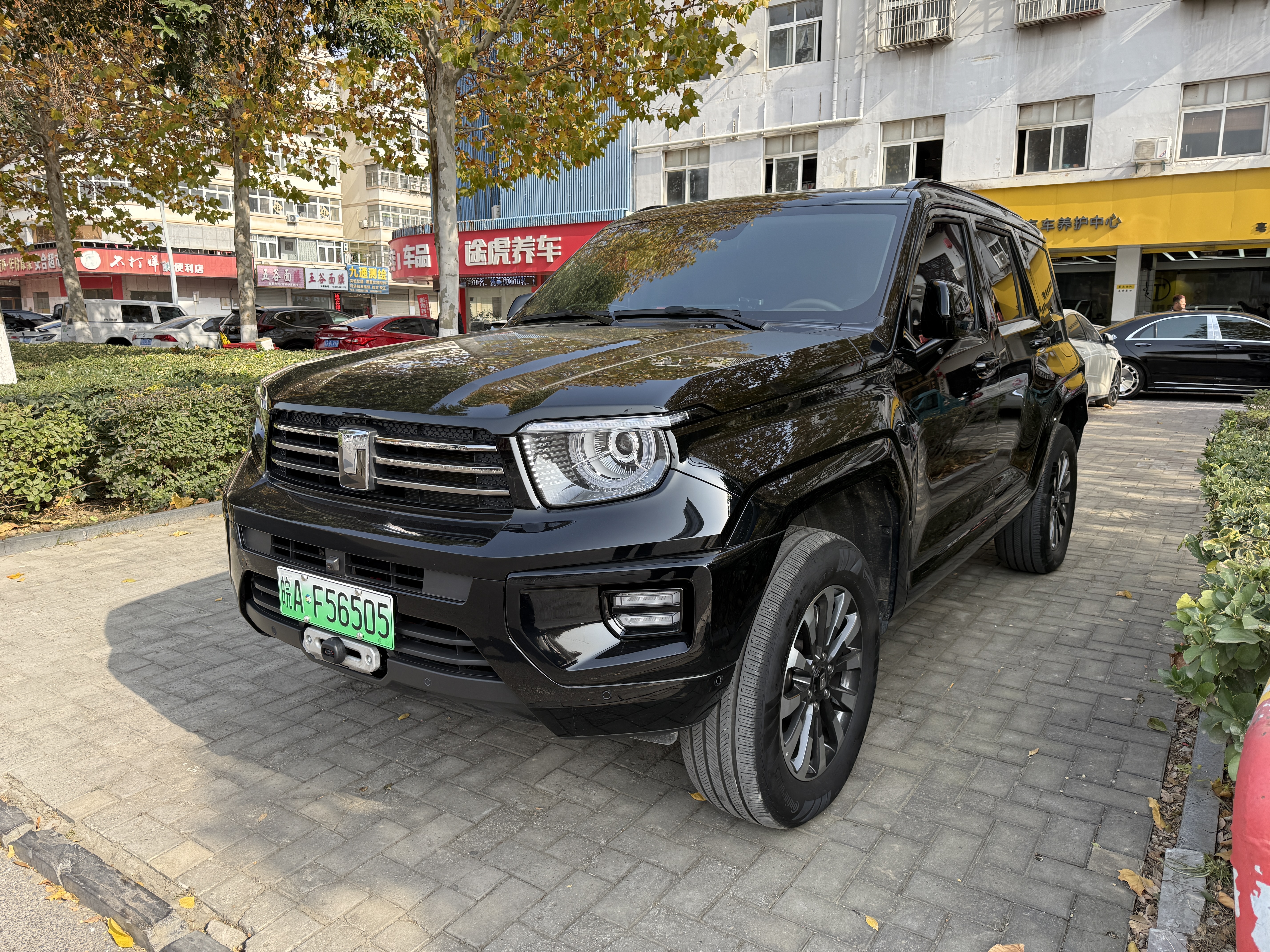 Tank 700 New Energy 2024 immagine di auto #2