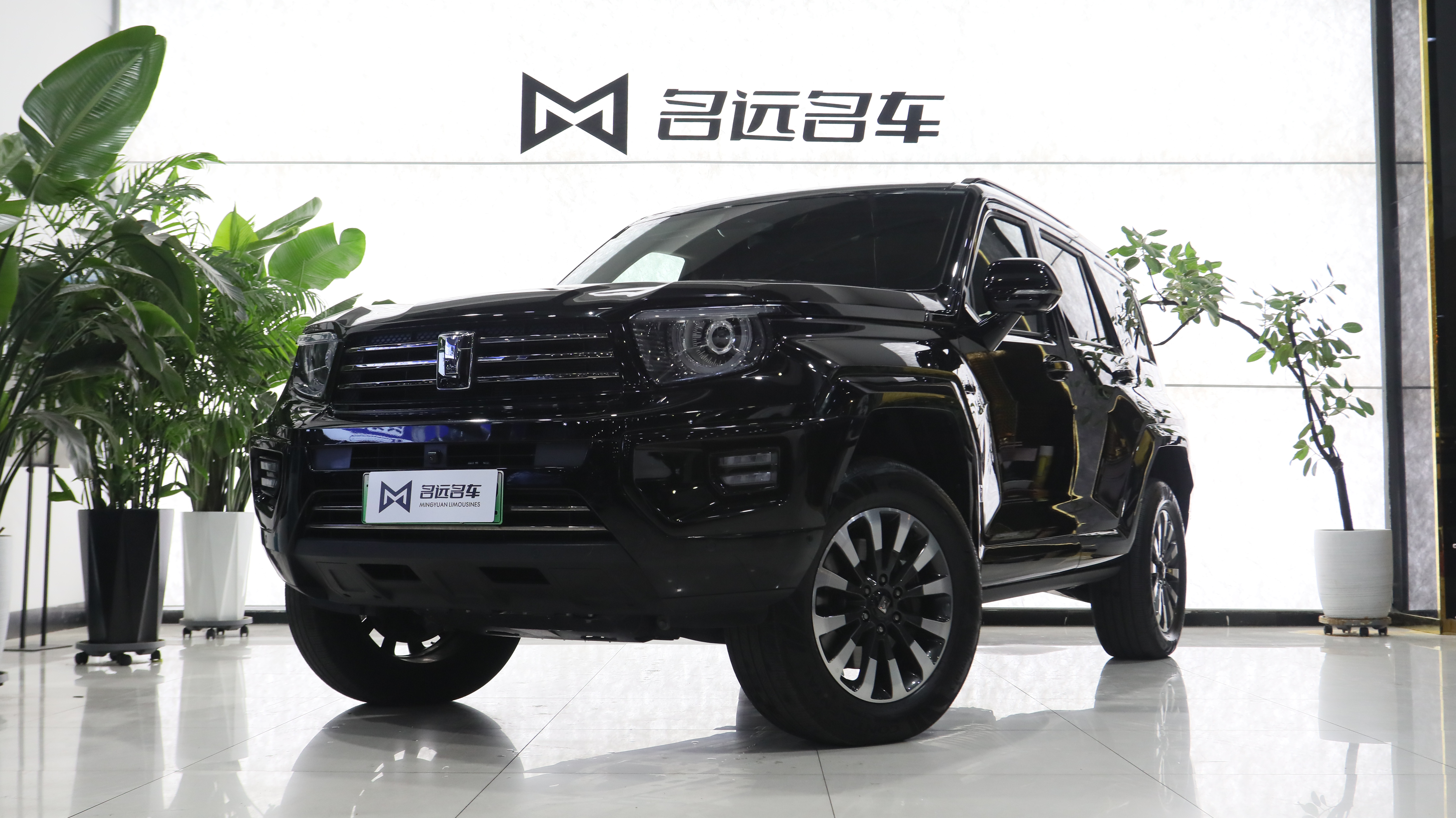 Tank 700 New Energy 2024 immagine di auto #2