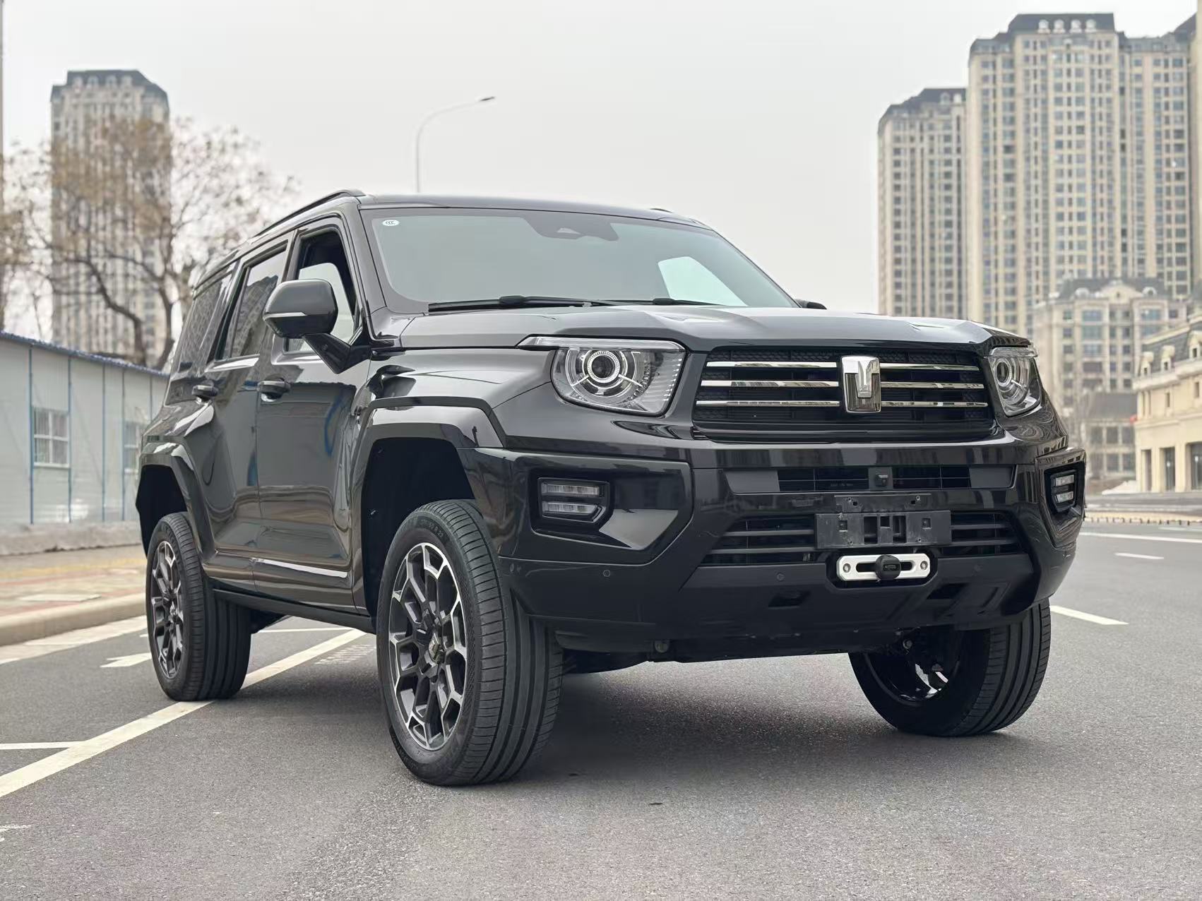 Tank 700 New Energy 2024 immagine di auto #2