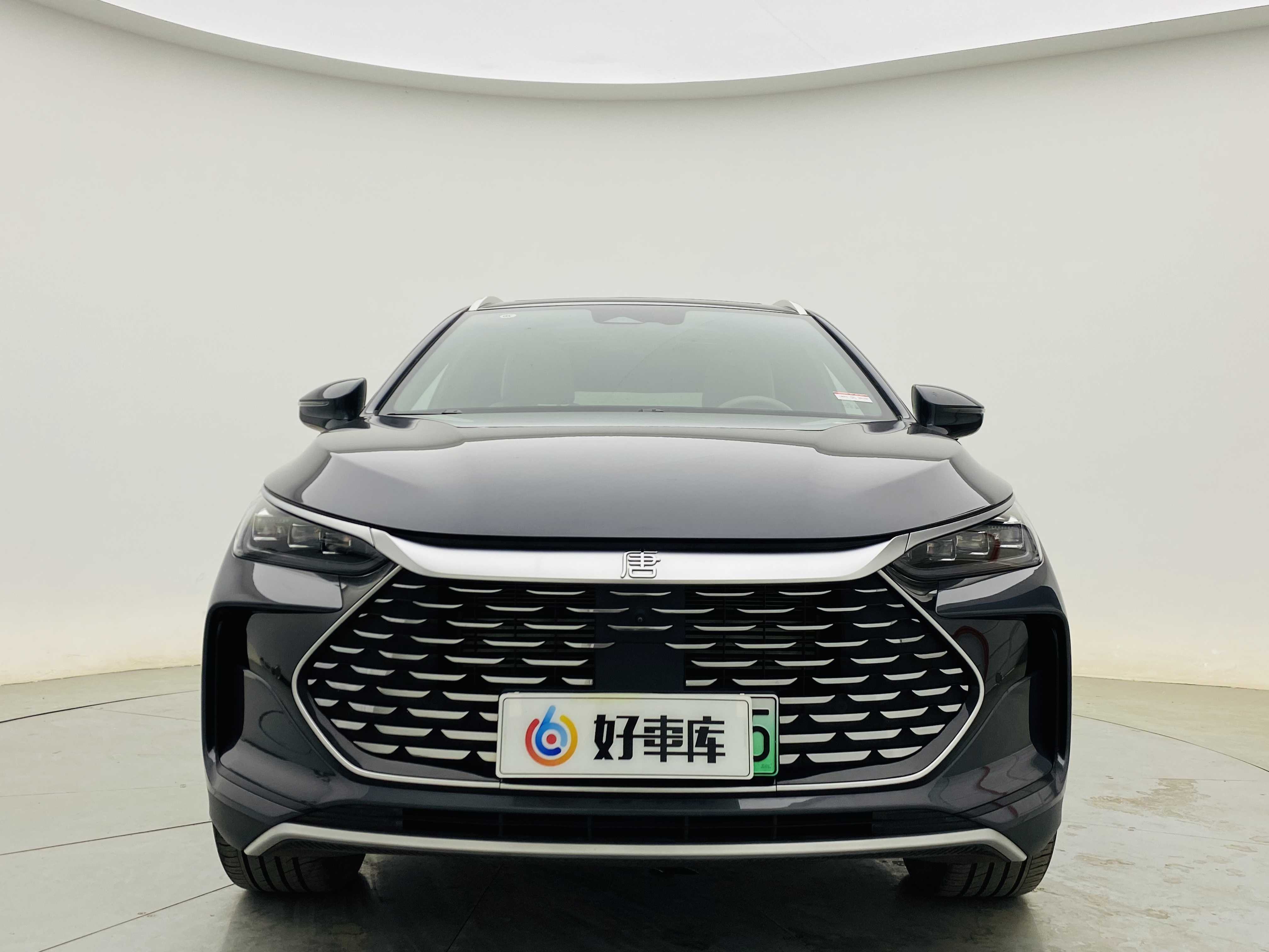 BYD Tang New Energy 2024 car image #2