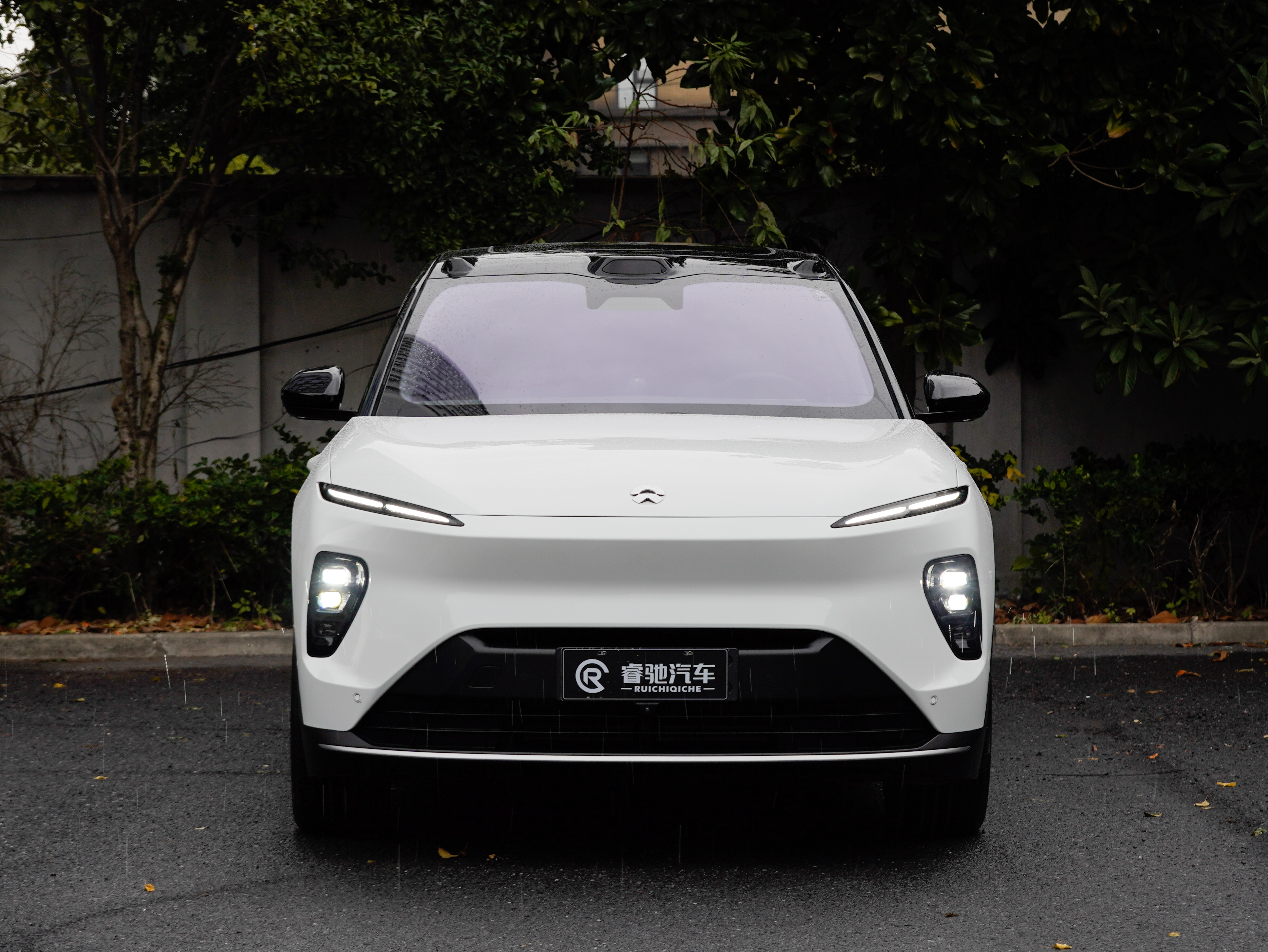 蔚来 蔚来ES8 2025 汽车图片 #2