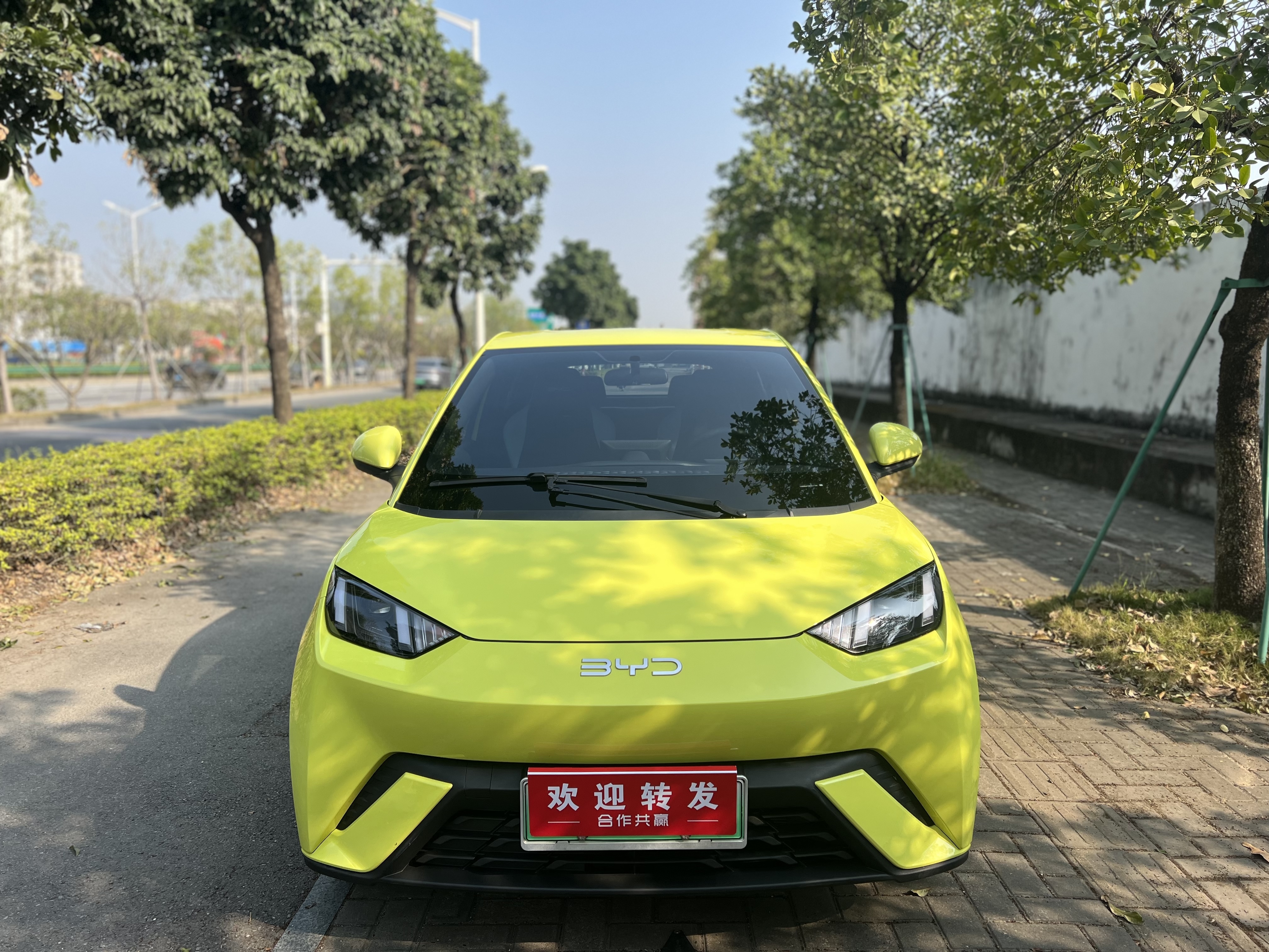 BYD Seagull 2024 صورة سيارة #2