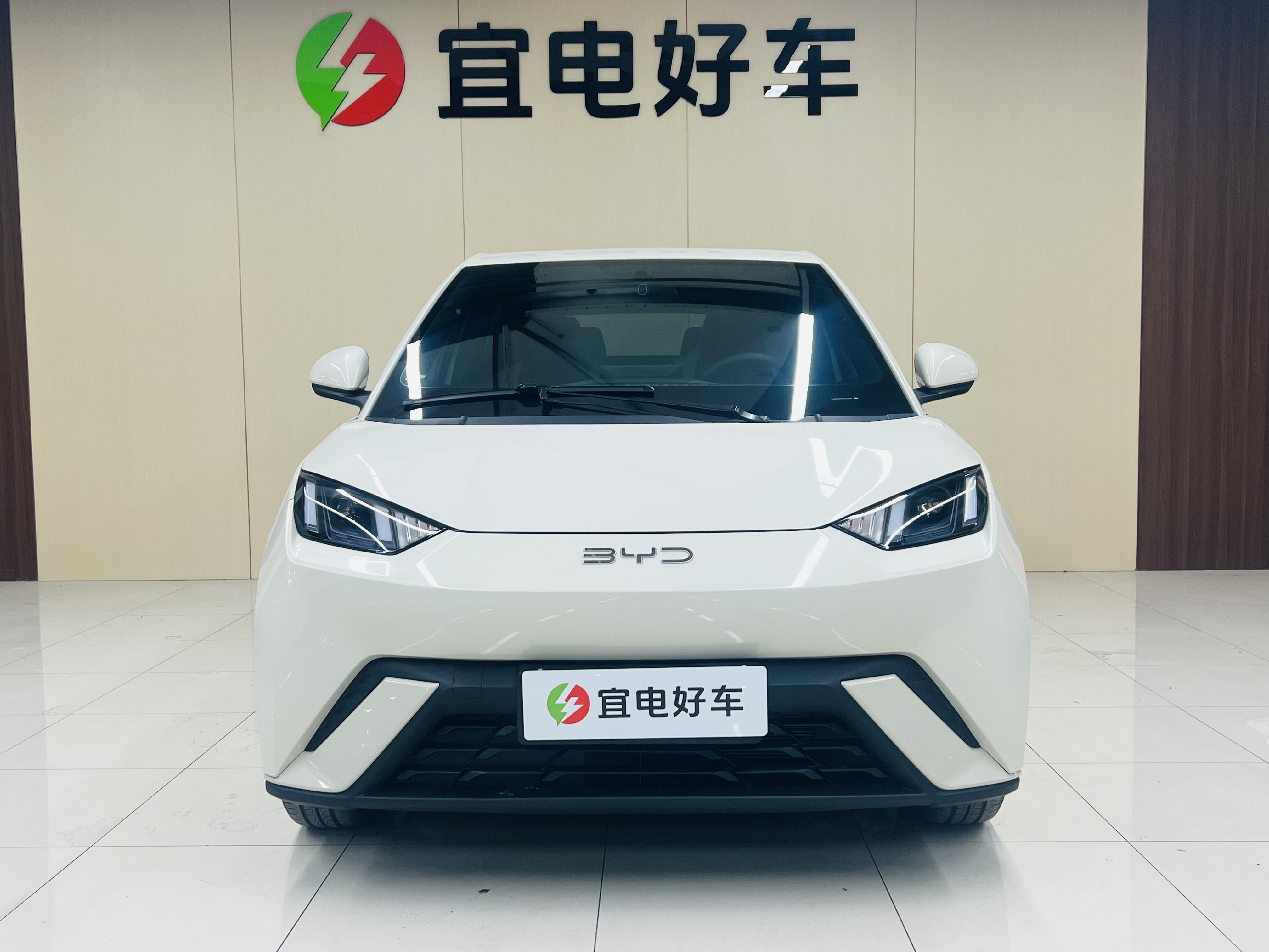 BYD Seagull 2024 car image #2