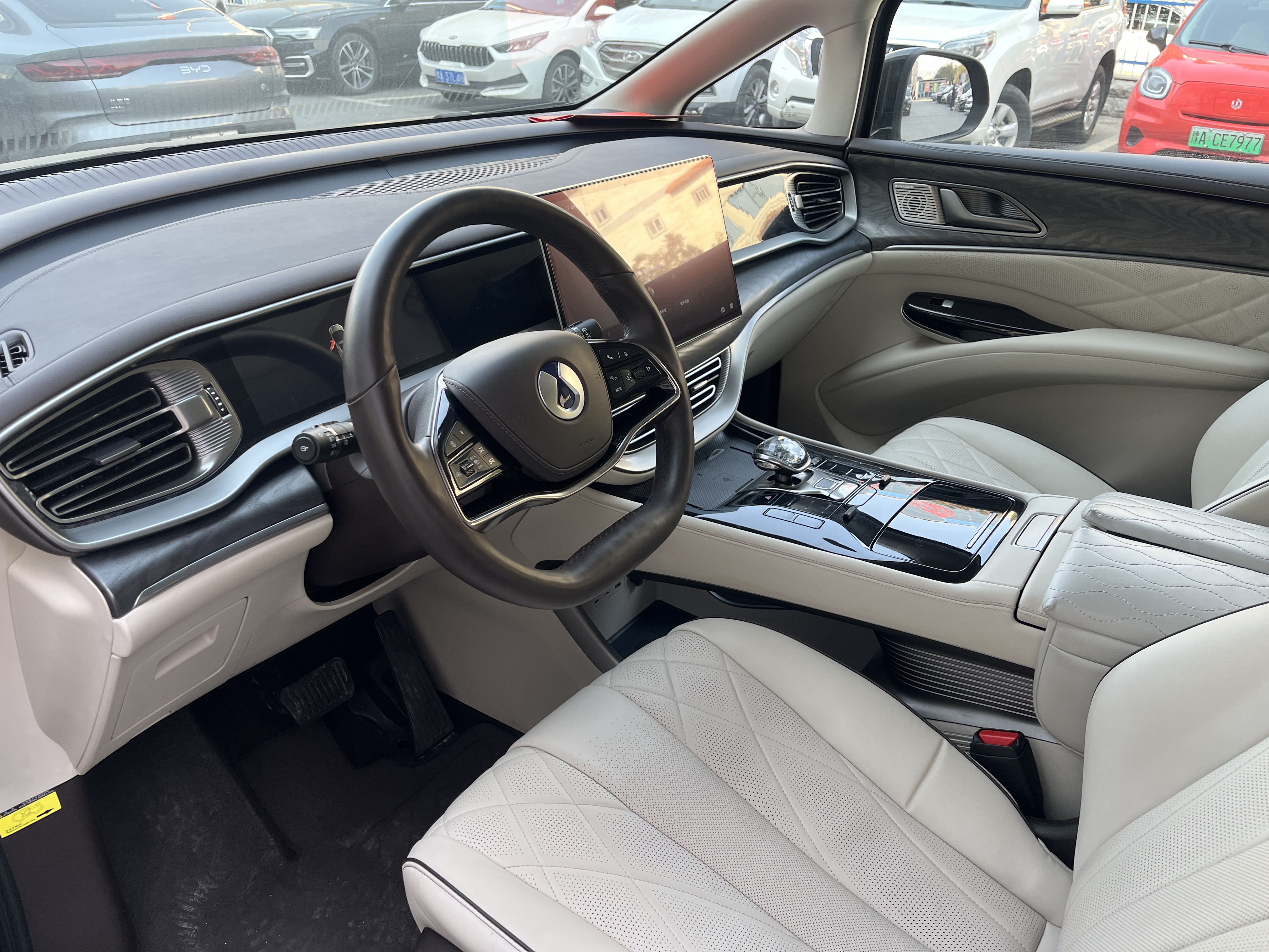 Denza D9 2024 immagine di auto #2