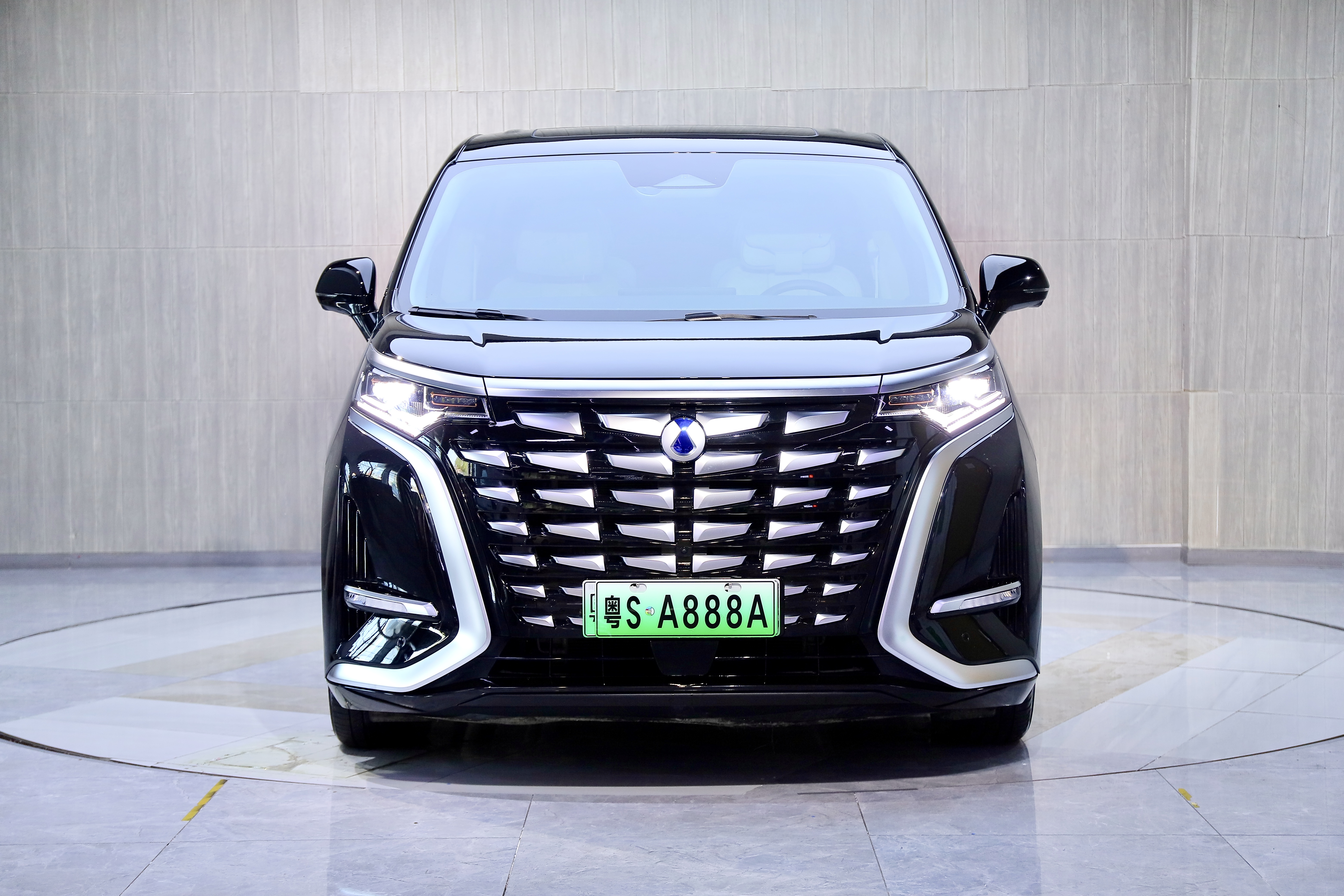 Denza D9 2024 immagine di auto #2