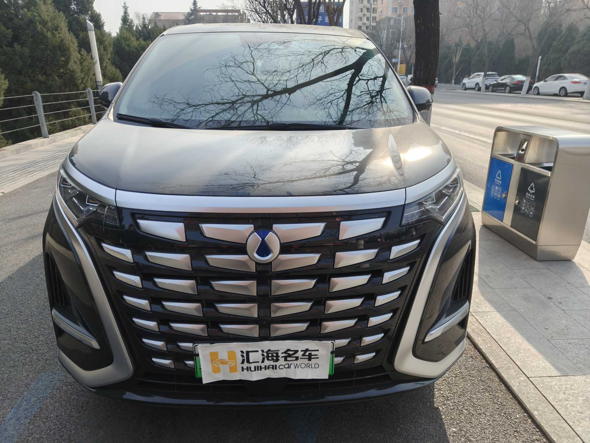 Denza D9 2025 car image #2