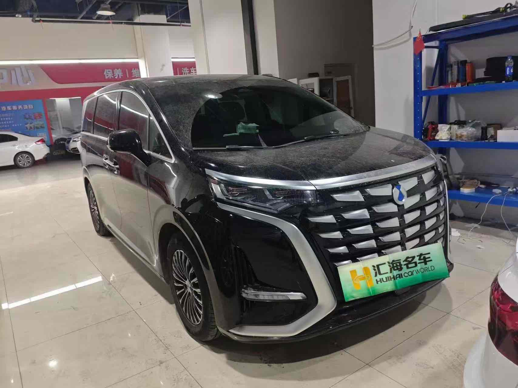 Denza D9 2025 image de voiture #2