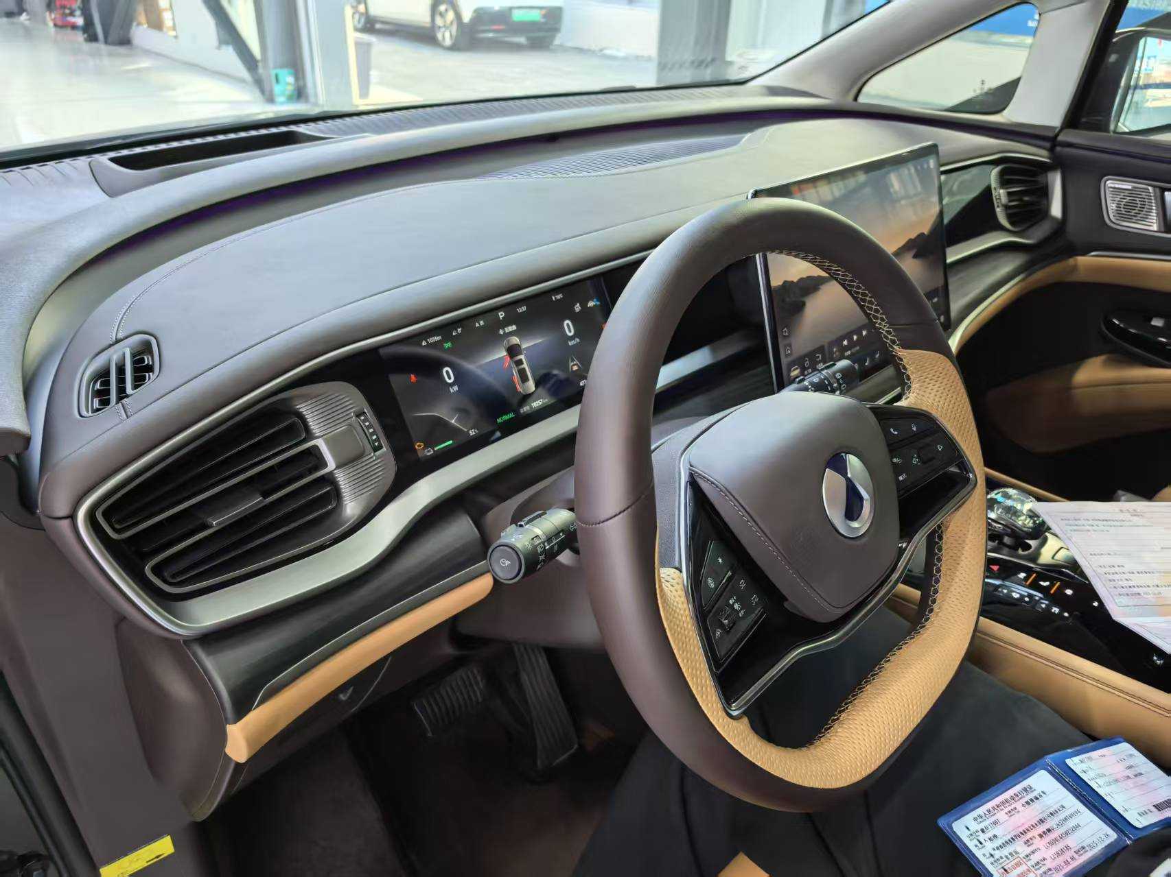 Denza D9 2025 immagine di auto #2