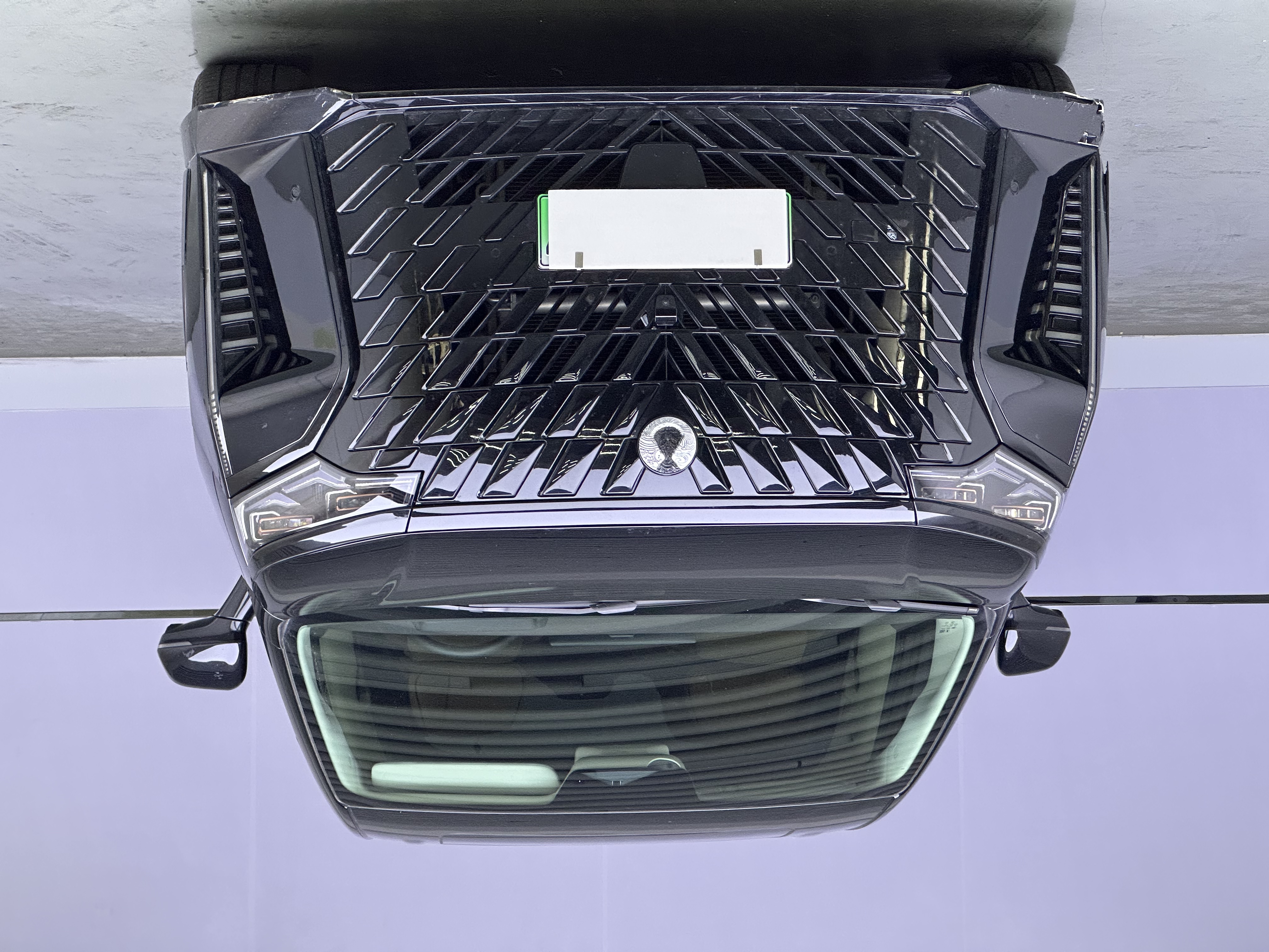 Denza D9 2024 imagem de carro #2