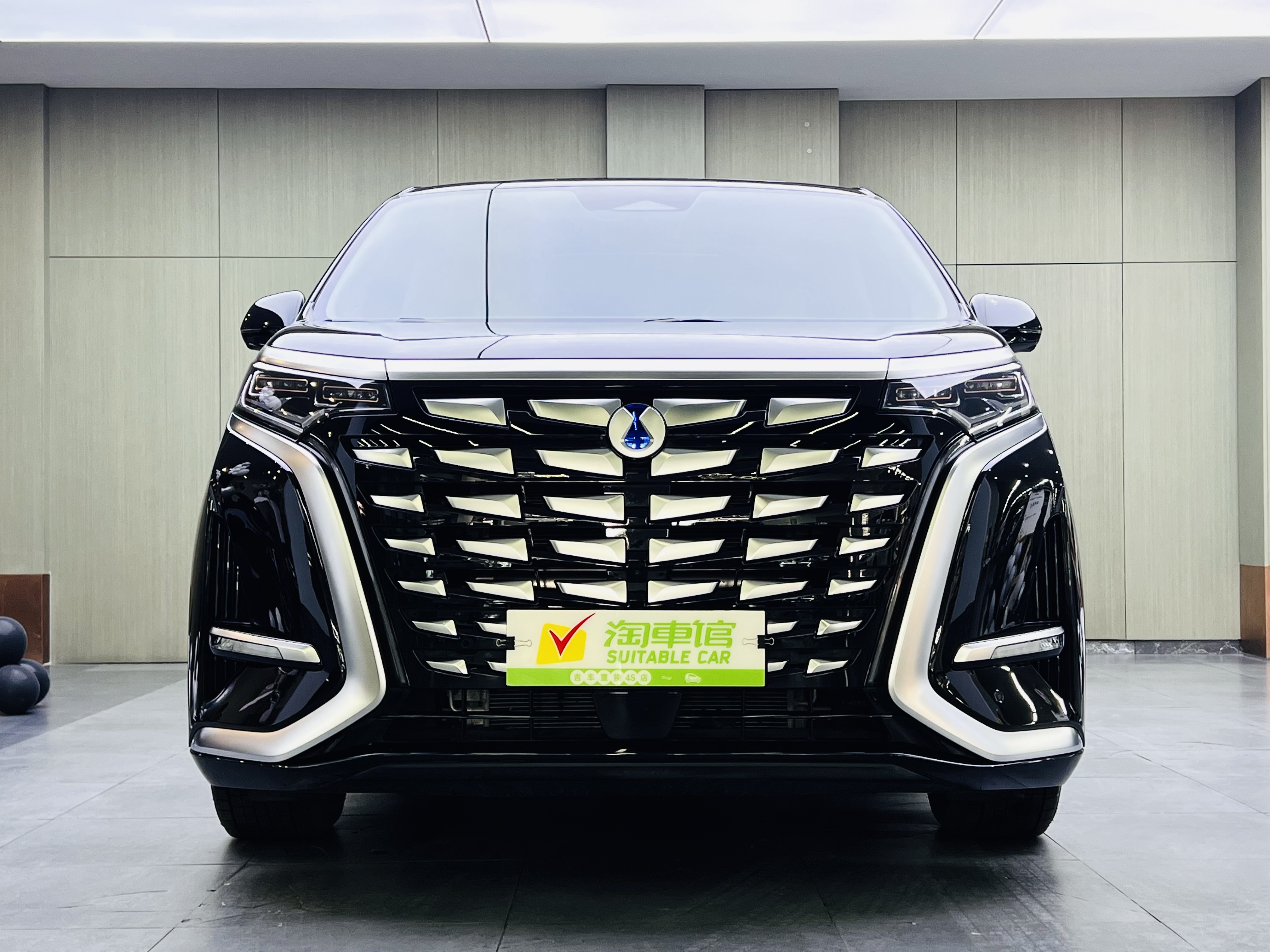 Denza D9 2025 image de voiture #2