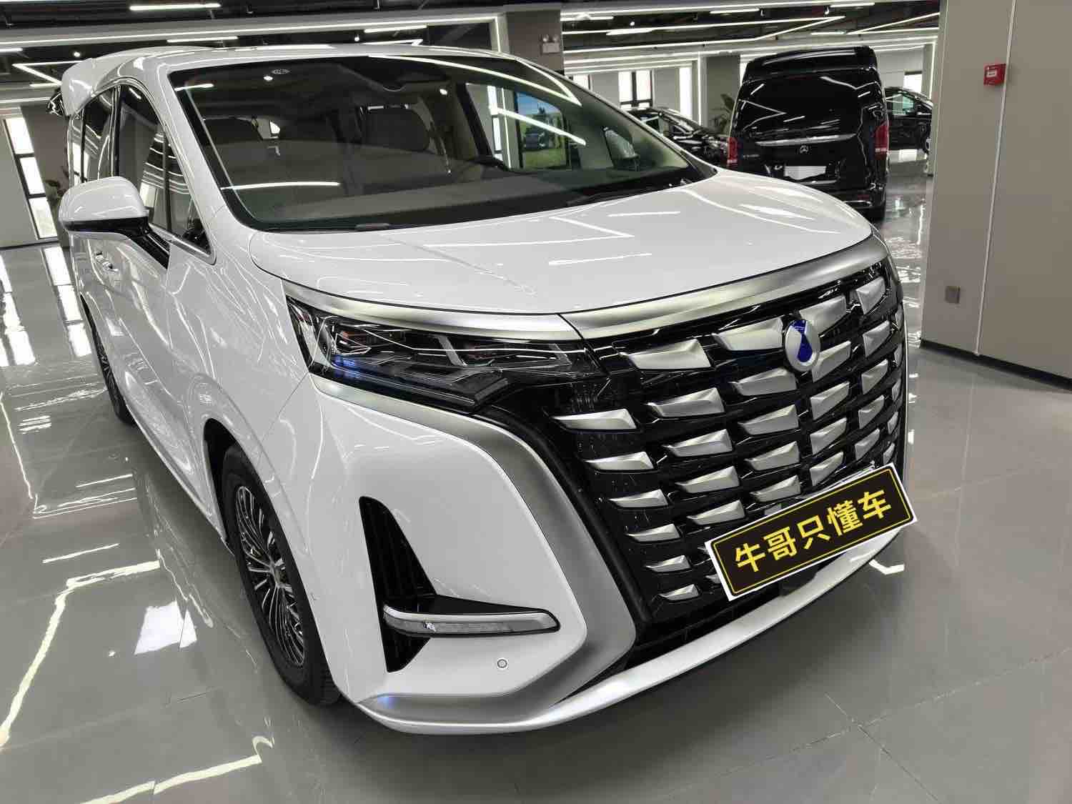 Denza D9 2024 imagen de coche #2