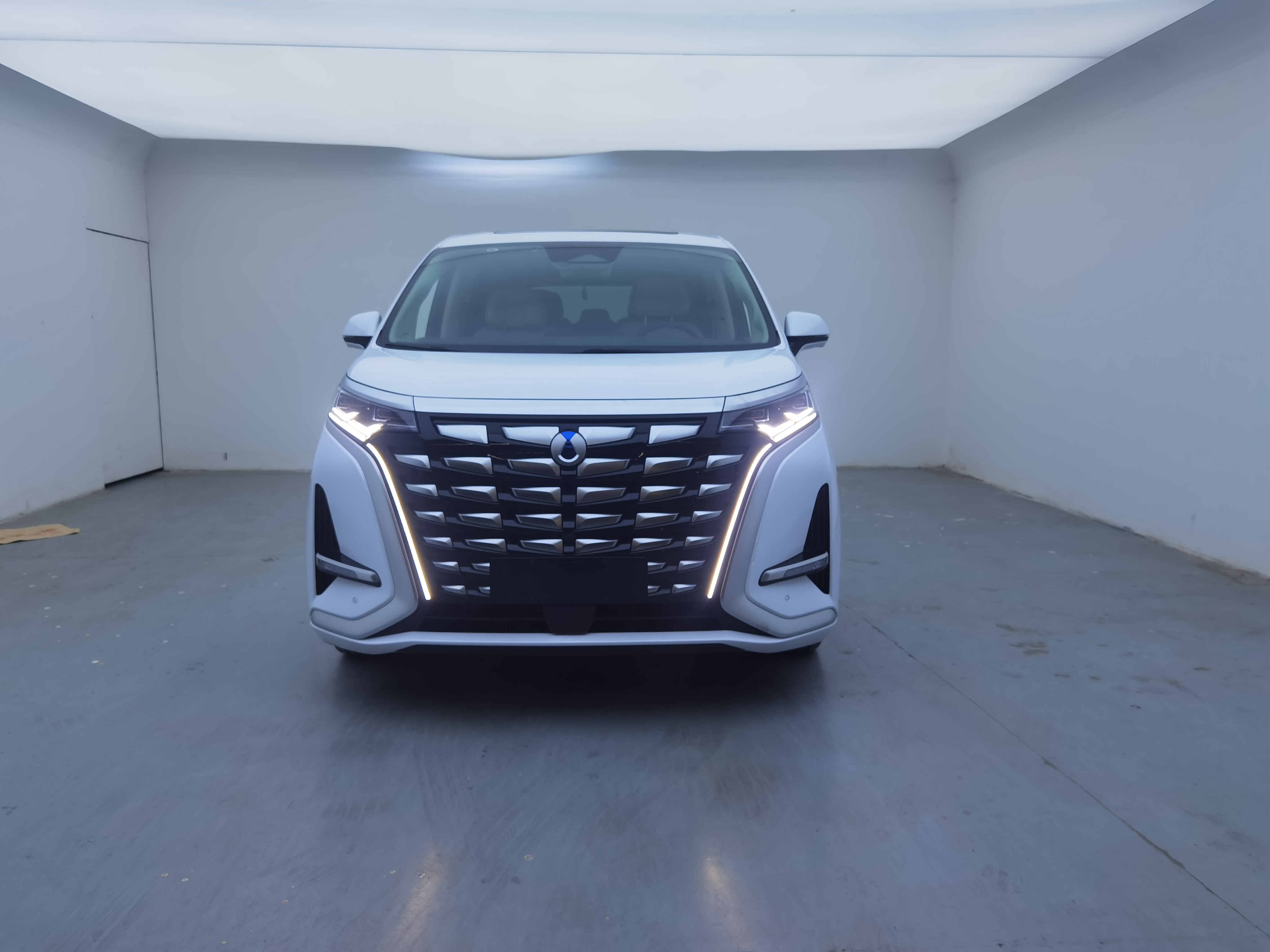 Denza D9 2024 immagine di auto #2