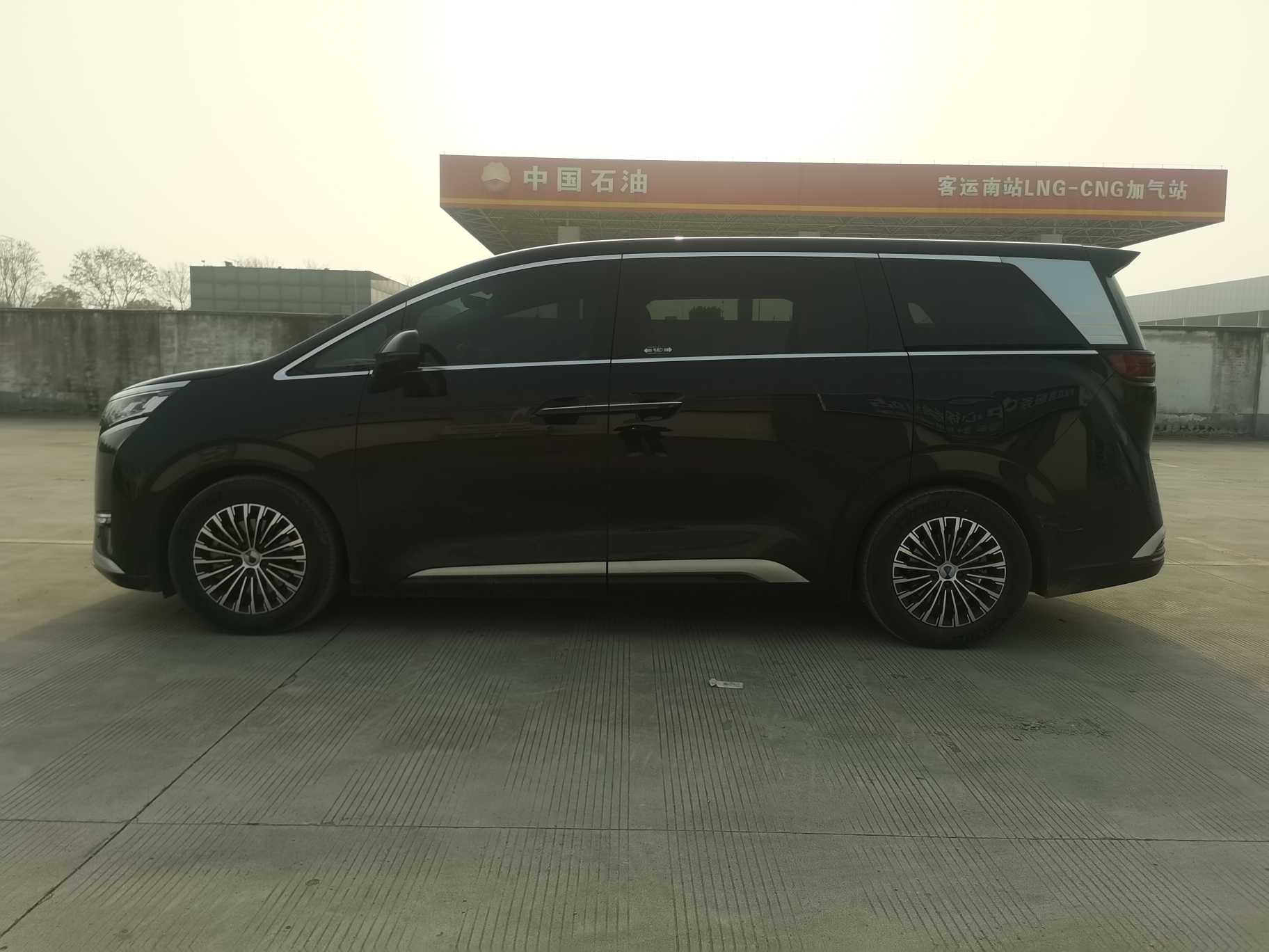 Denza D9 2024 car image #2