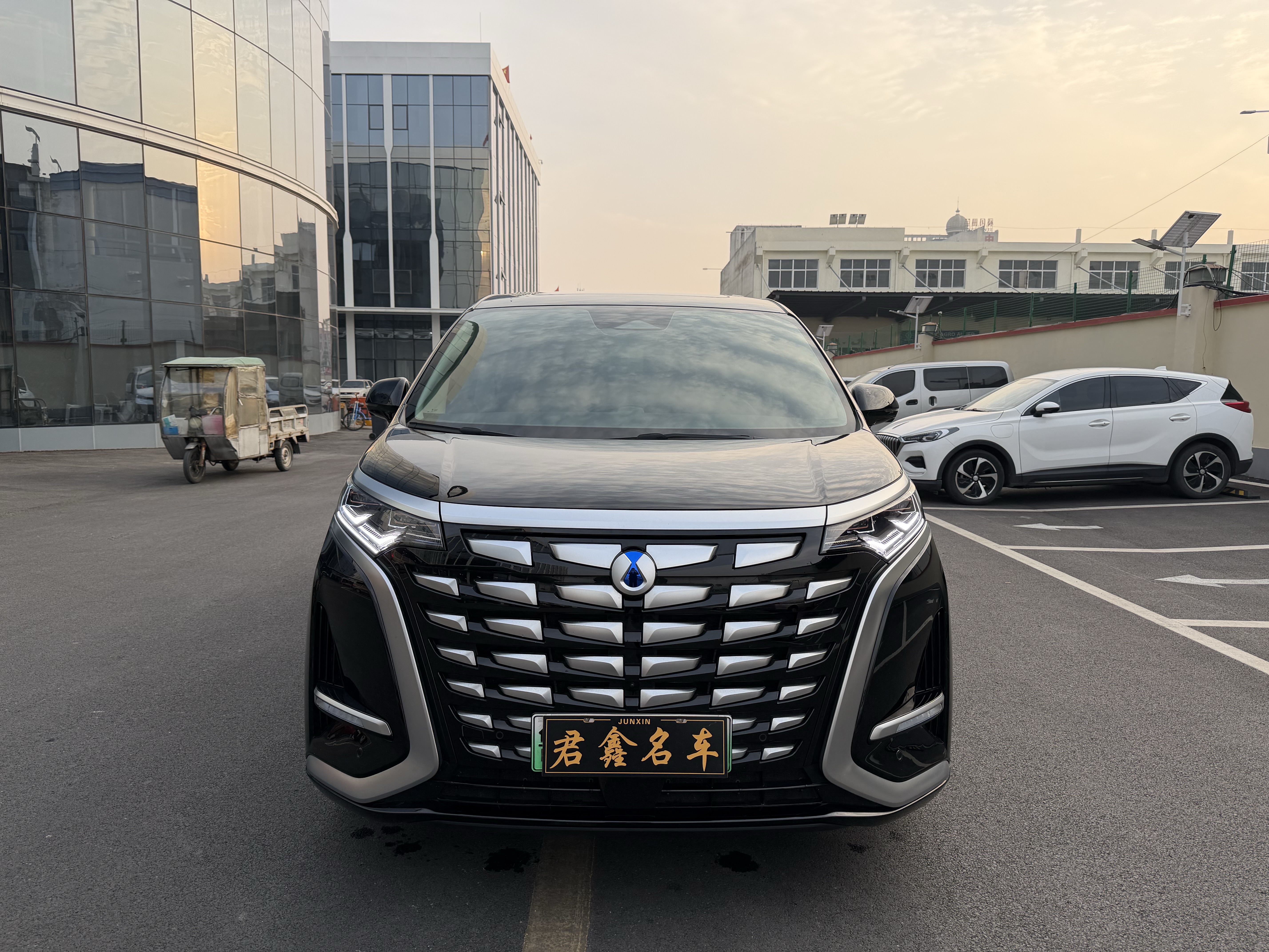 Denza D9 2024 car image #2