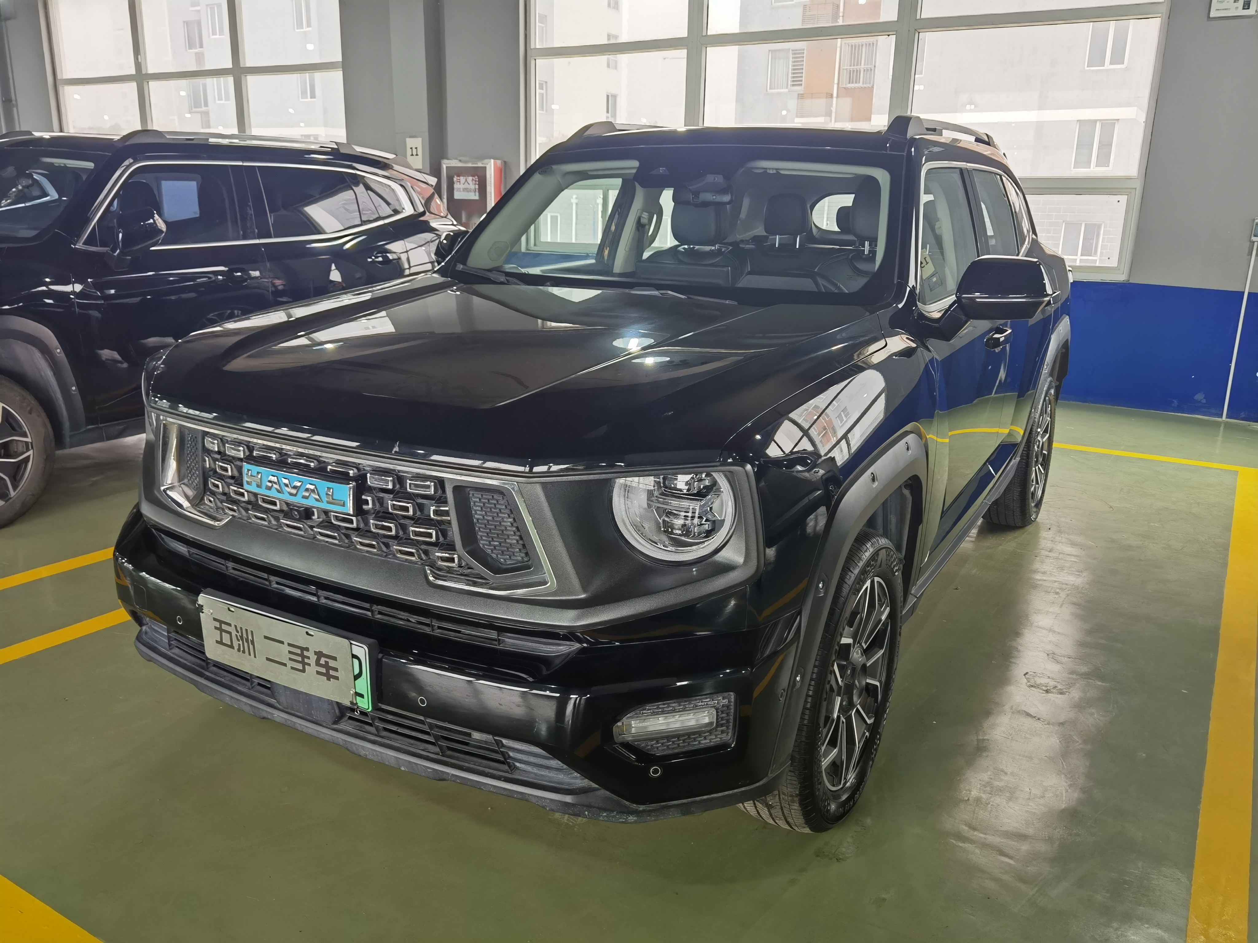 Haval X Dog 2 New Energy 2024 car image #2