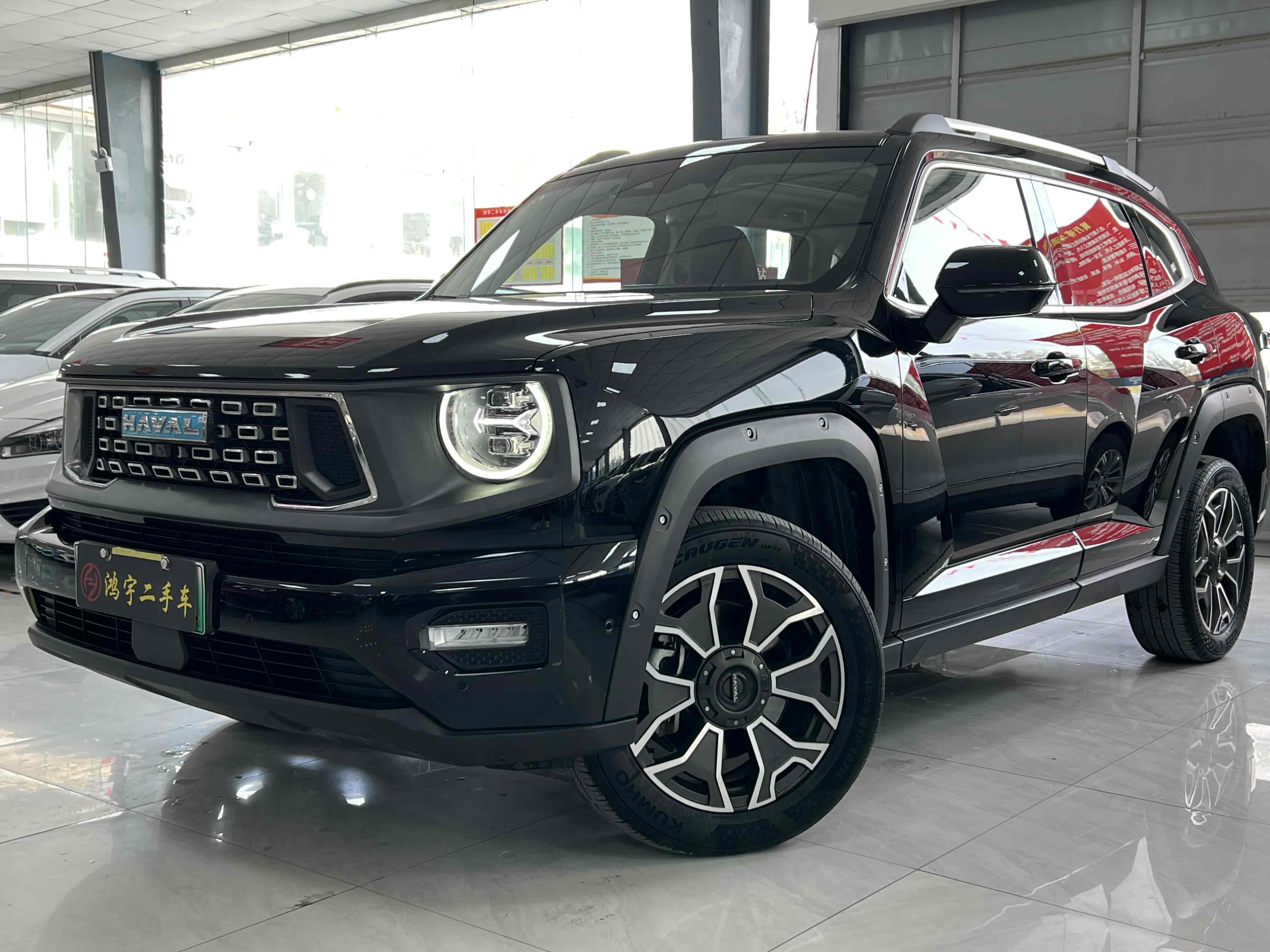 Haval X Dog 2 New Energy 2024 car image #2