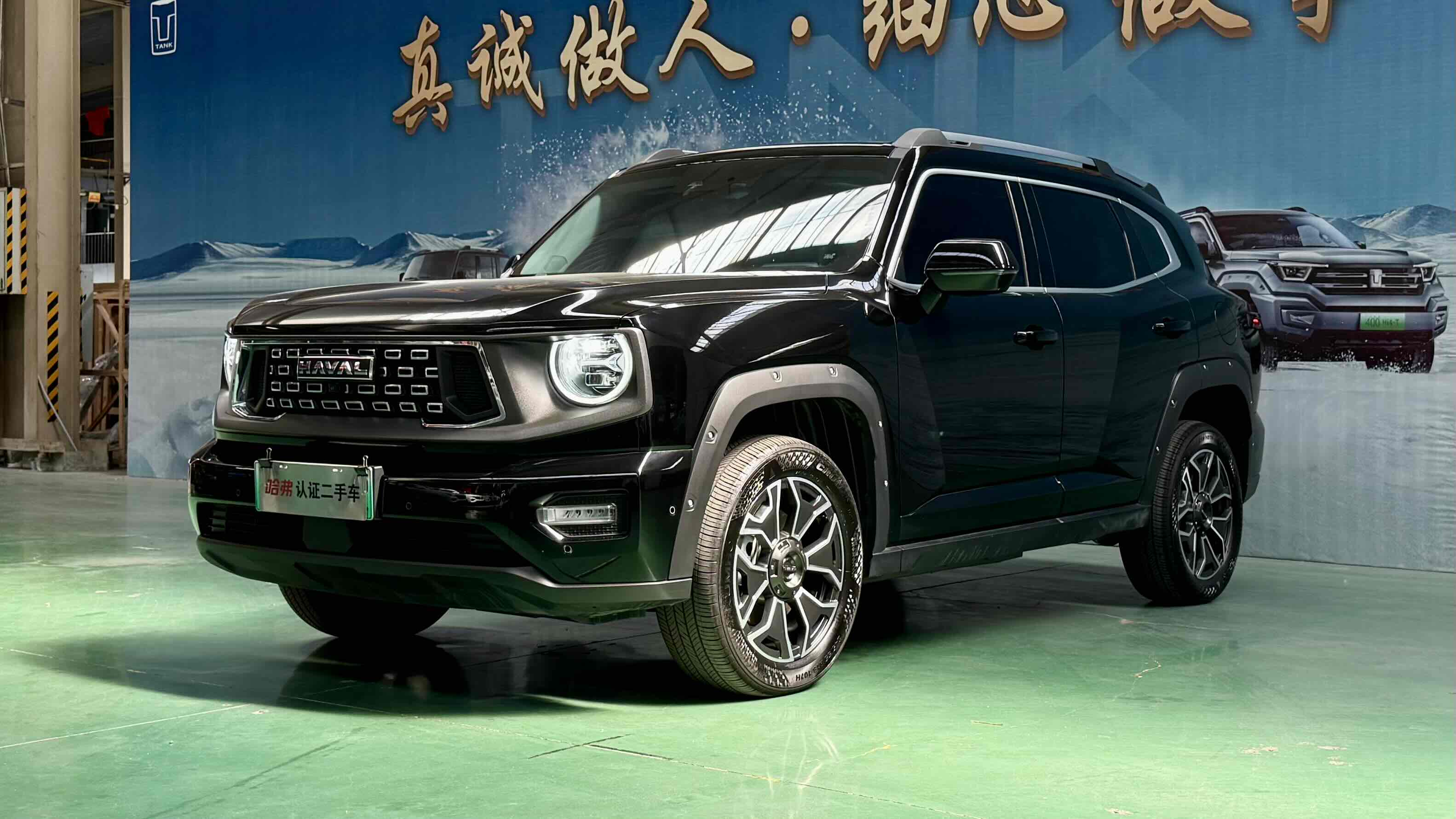 Haval X Dog 2 New Energy 2024 car image #2