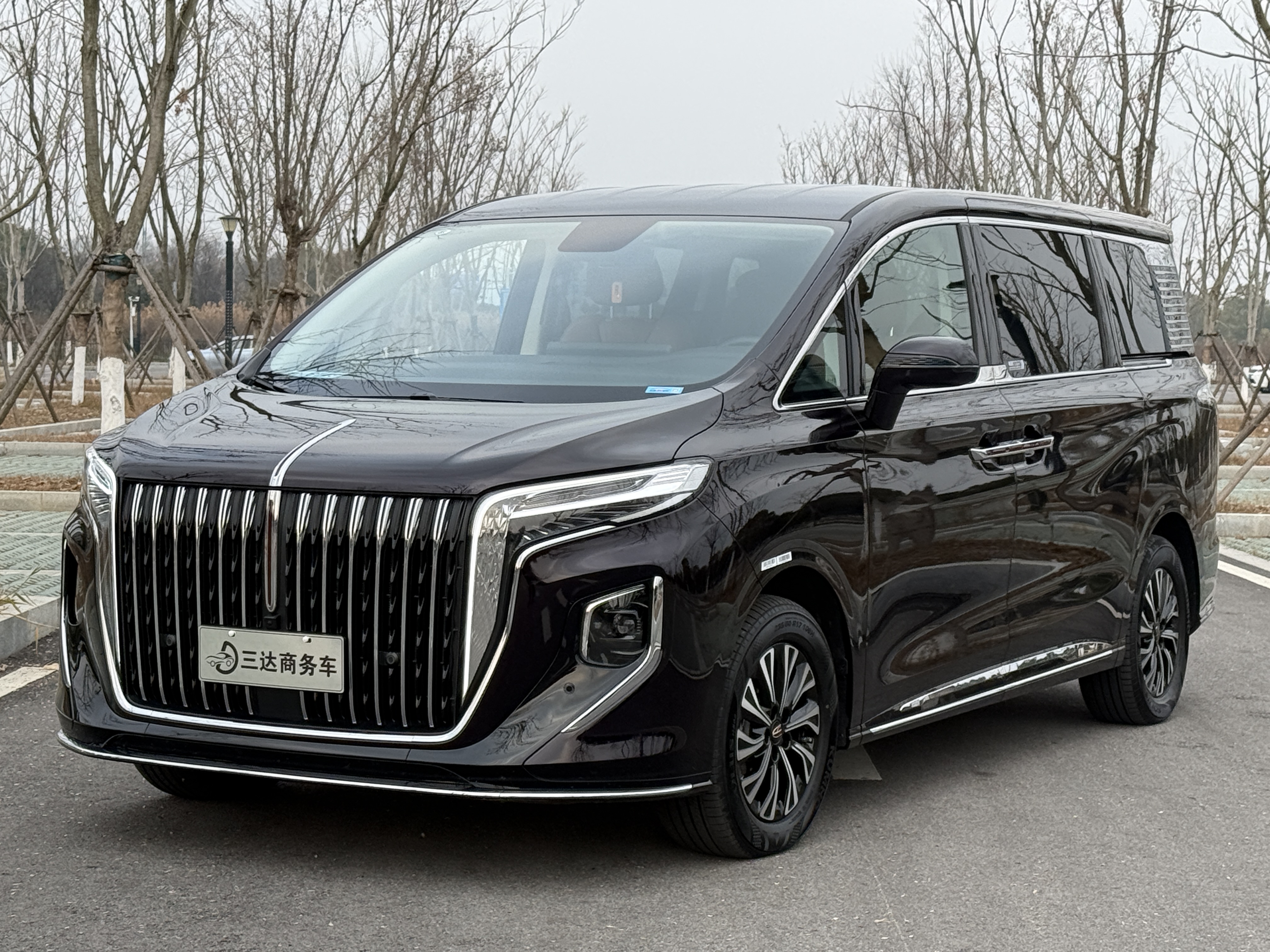 HongQi HQ9 PHEV 2024 #2 HongQi HQ9 PHEV 2024 car image #2