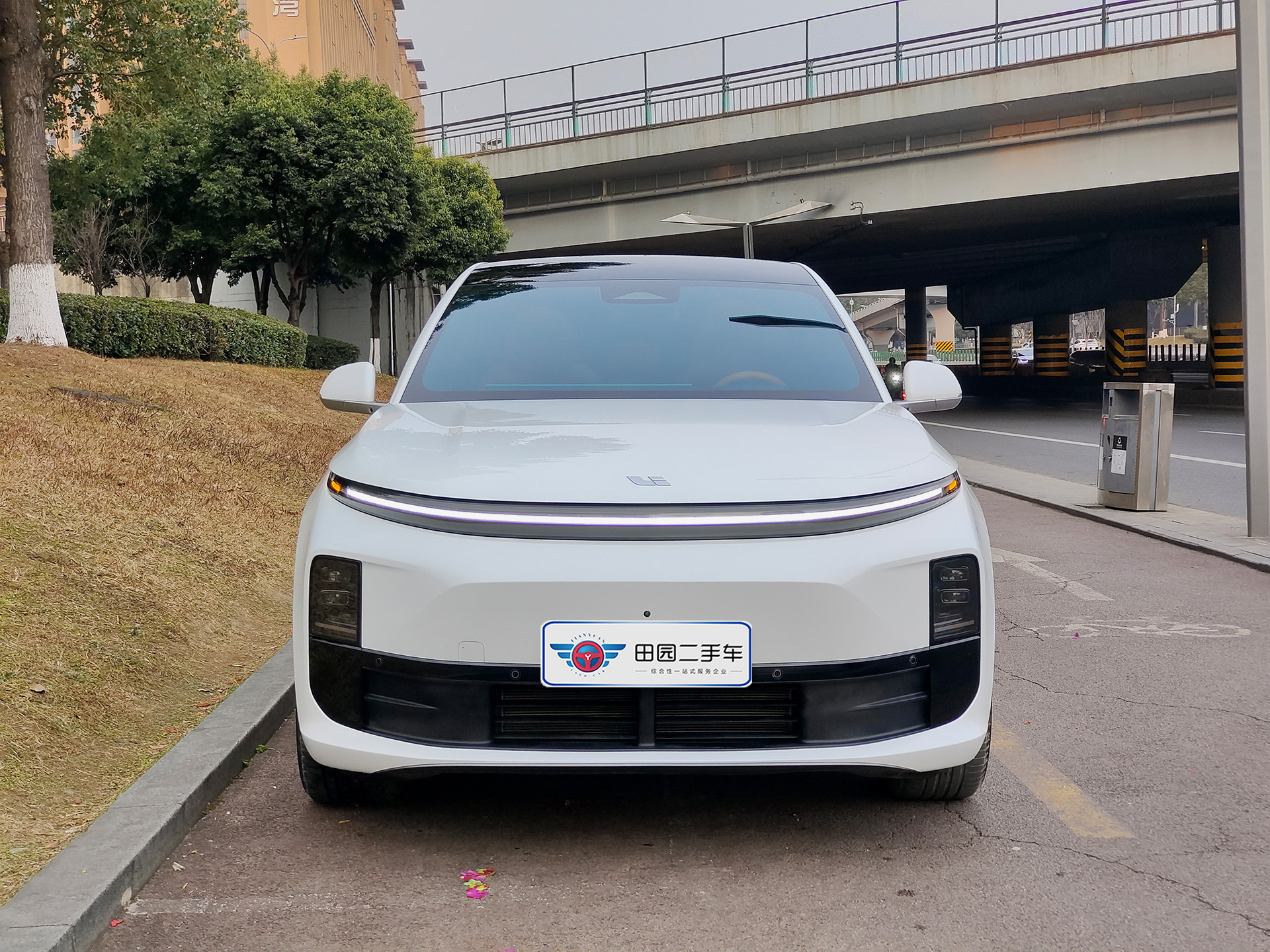 Li L6 2024 صورة سيارة #2