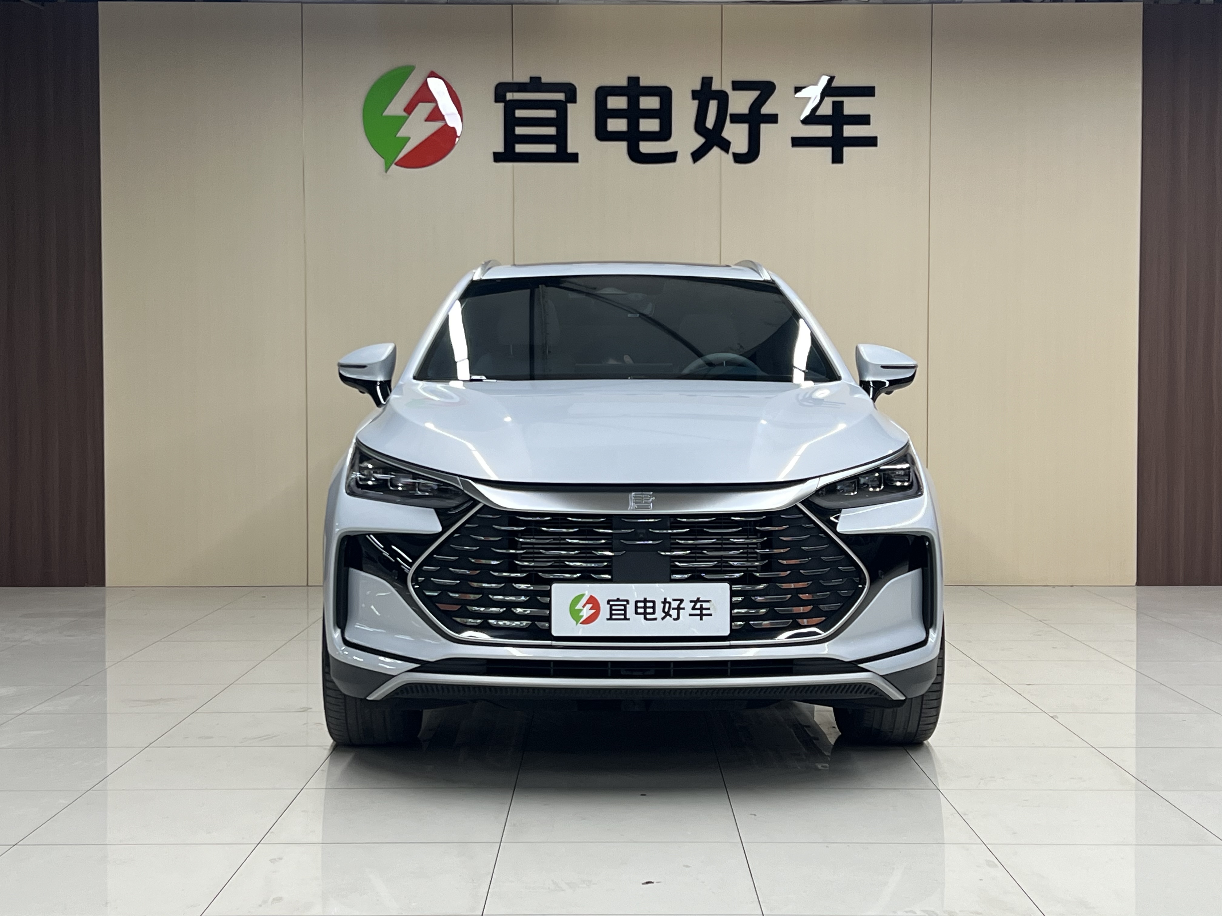 BYD Tang New Energy 2024 car image #2