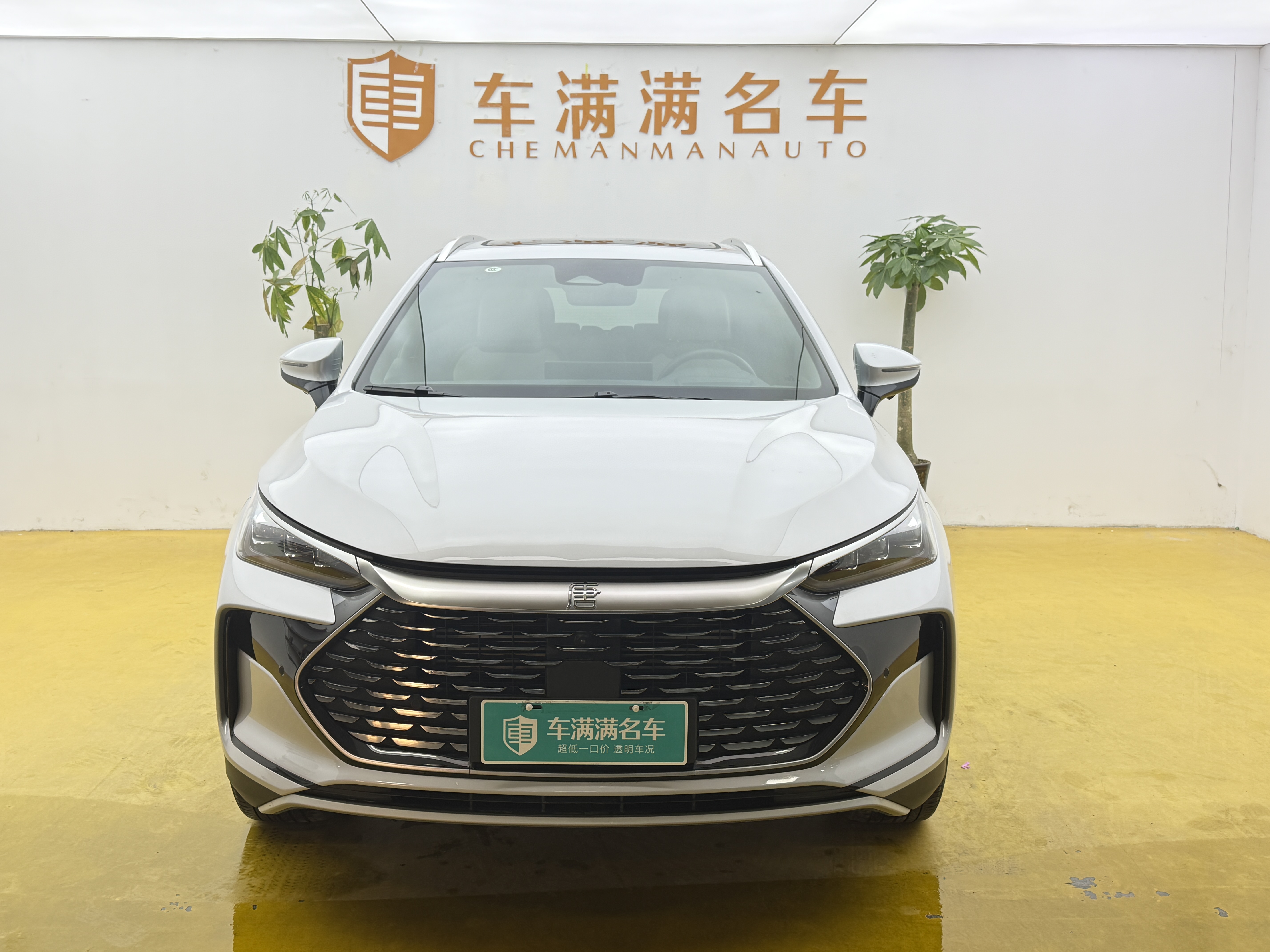 BYD Tang New Energy 2025 immagine di auto #2