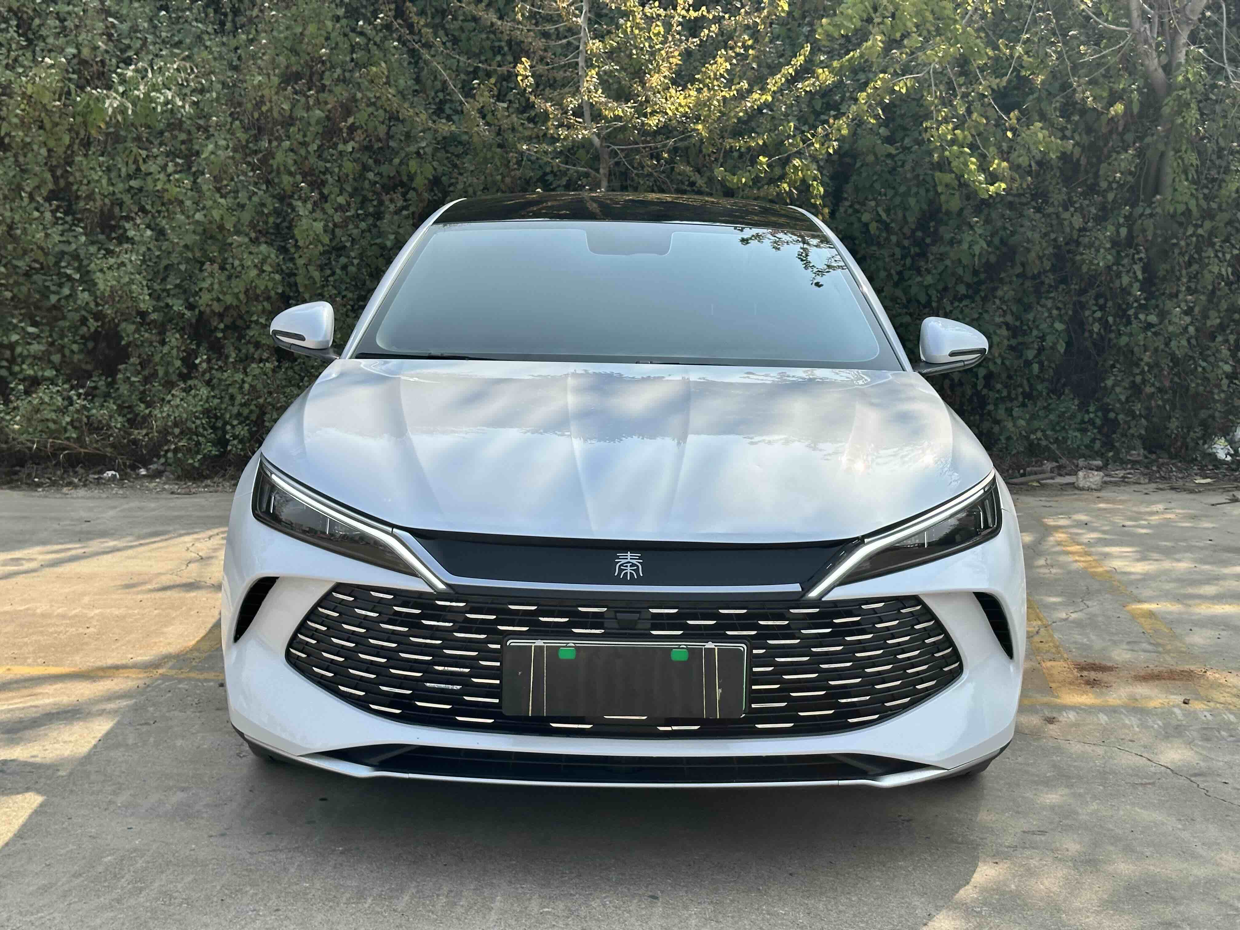 BYD Qin L 2025 car image #2