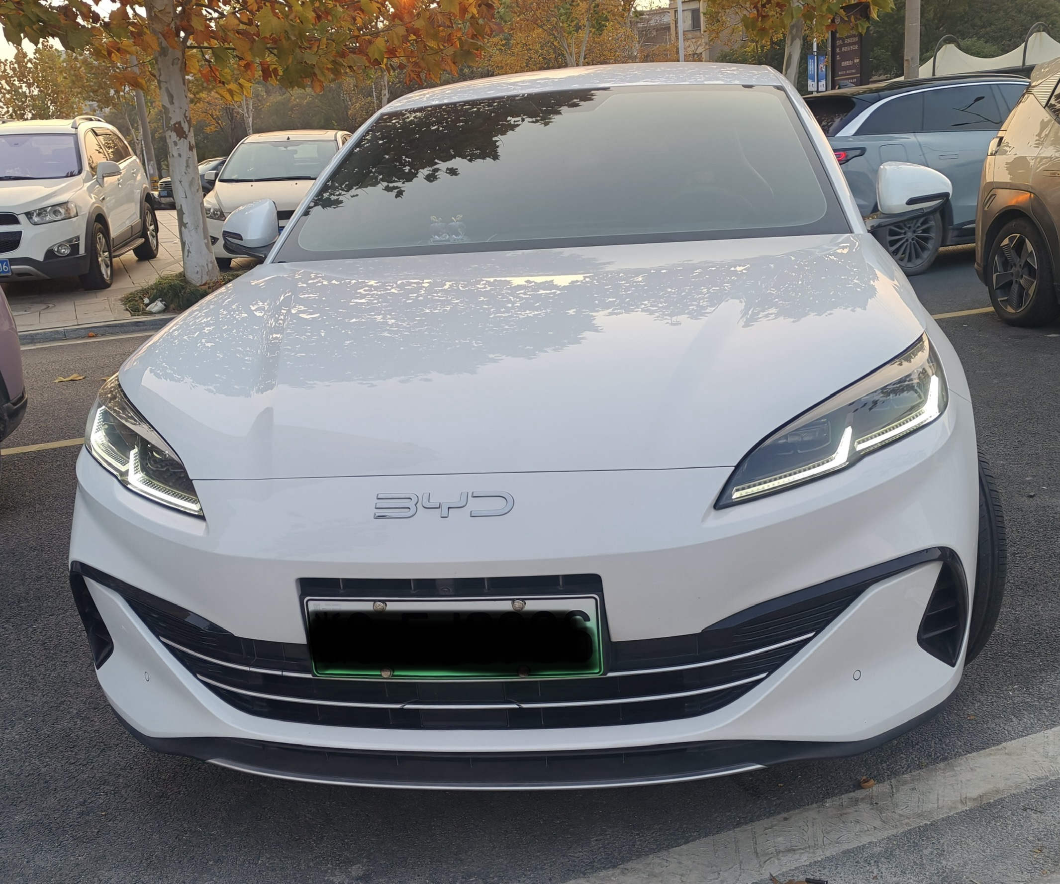 BYD Seal 06 New Energy 2024 car image #2