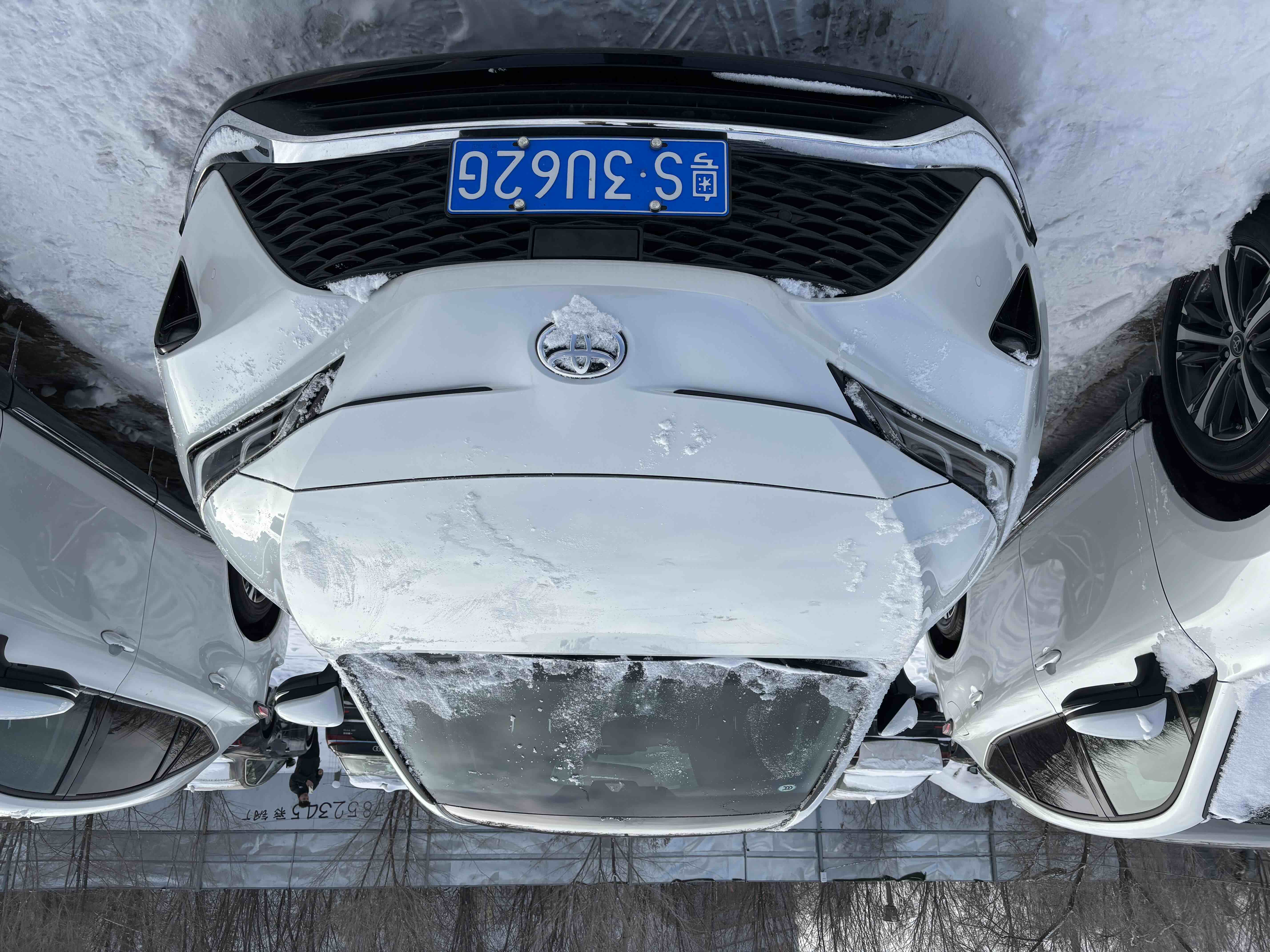 Toyota Venza 2025 car image #2