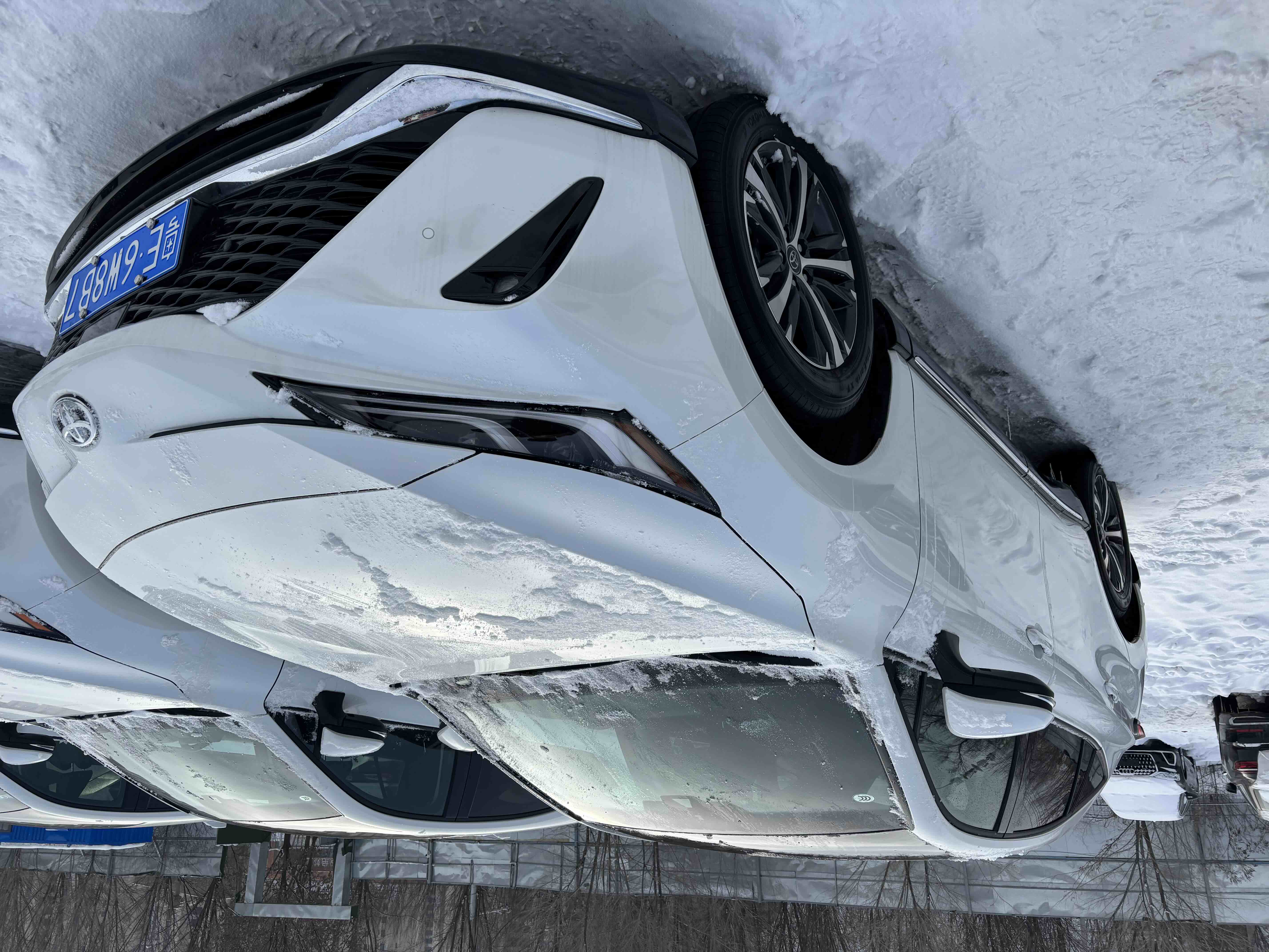 Toyota Venza 2025 immagine di auto #2