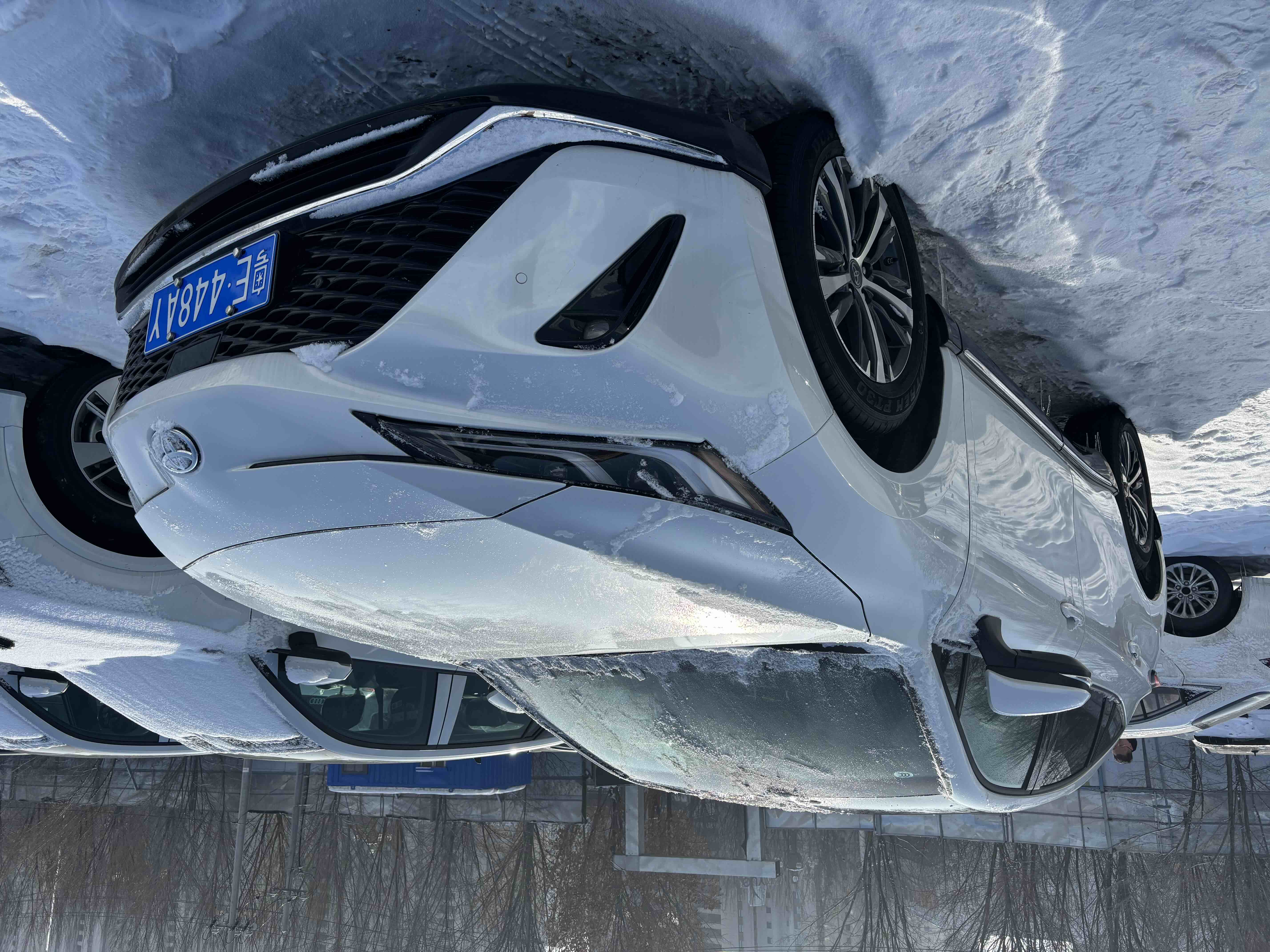 Toyota Venza 2025 immagine di auto #2