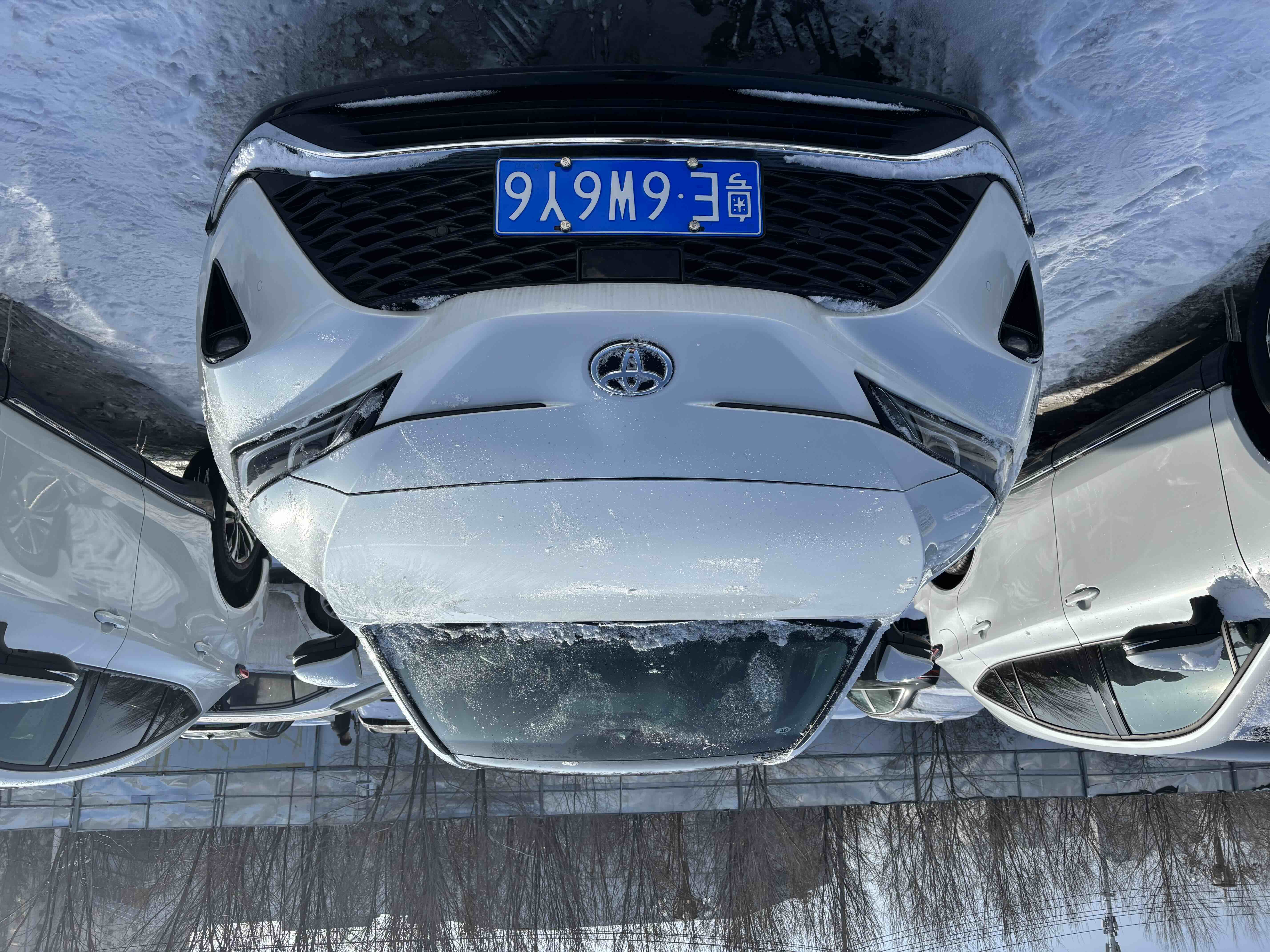 Toyota Venza 2025 immagine di auto #2