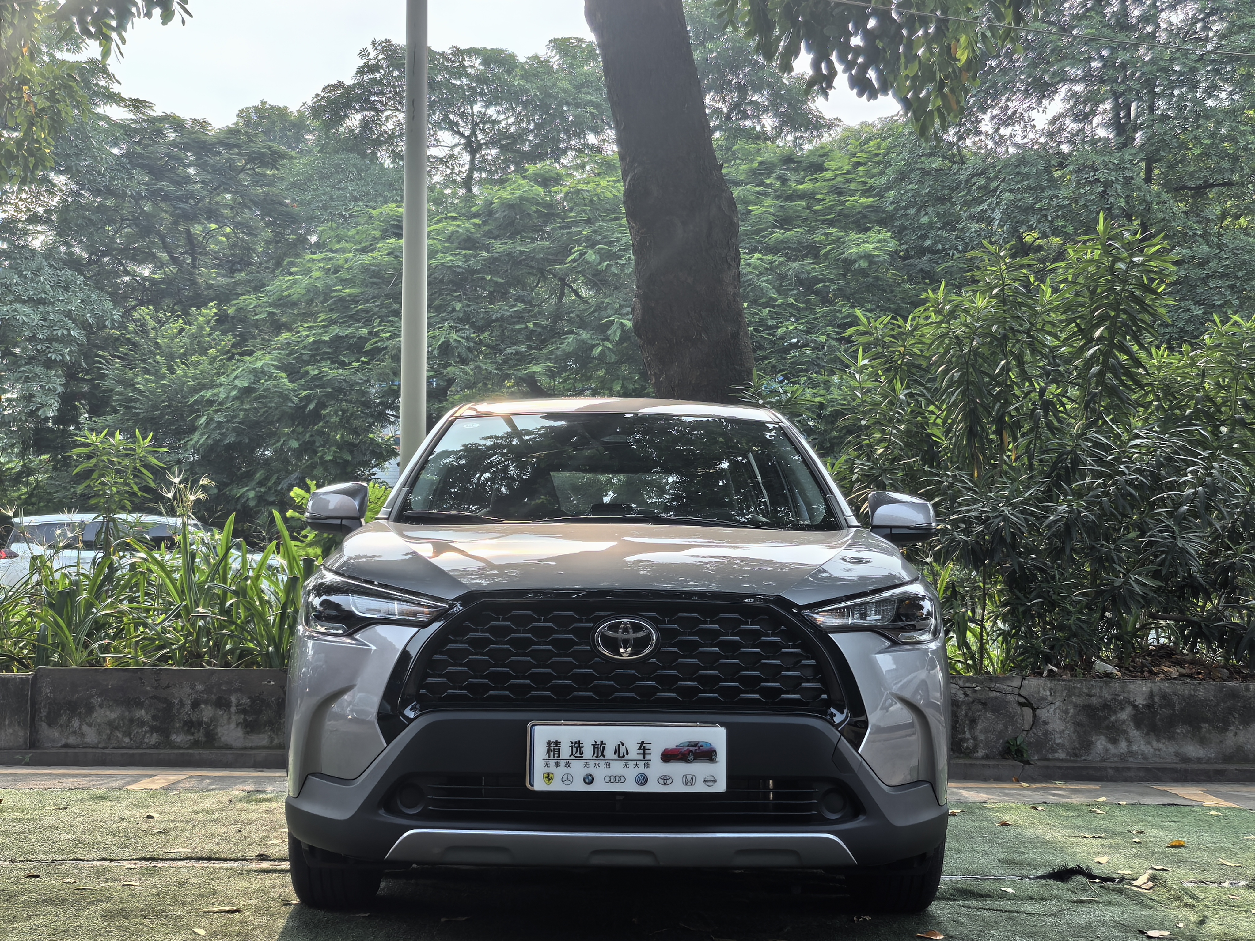 Toyota Corolla Cross 2025 #2 Toyota Corolla Cross 2025 car image #2