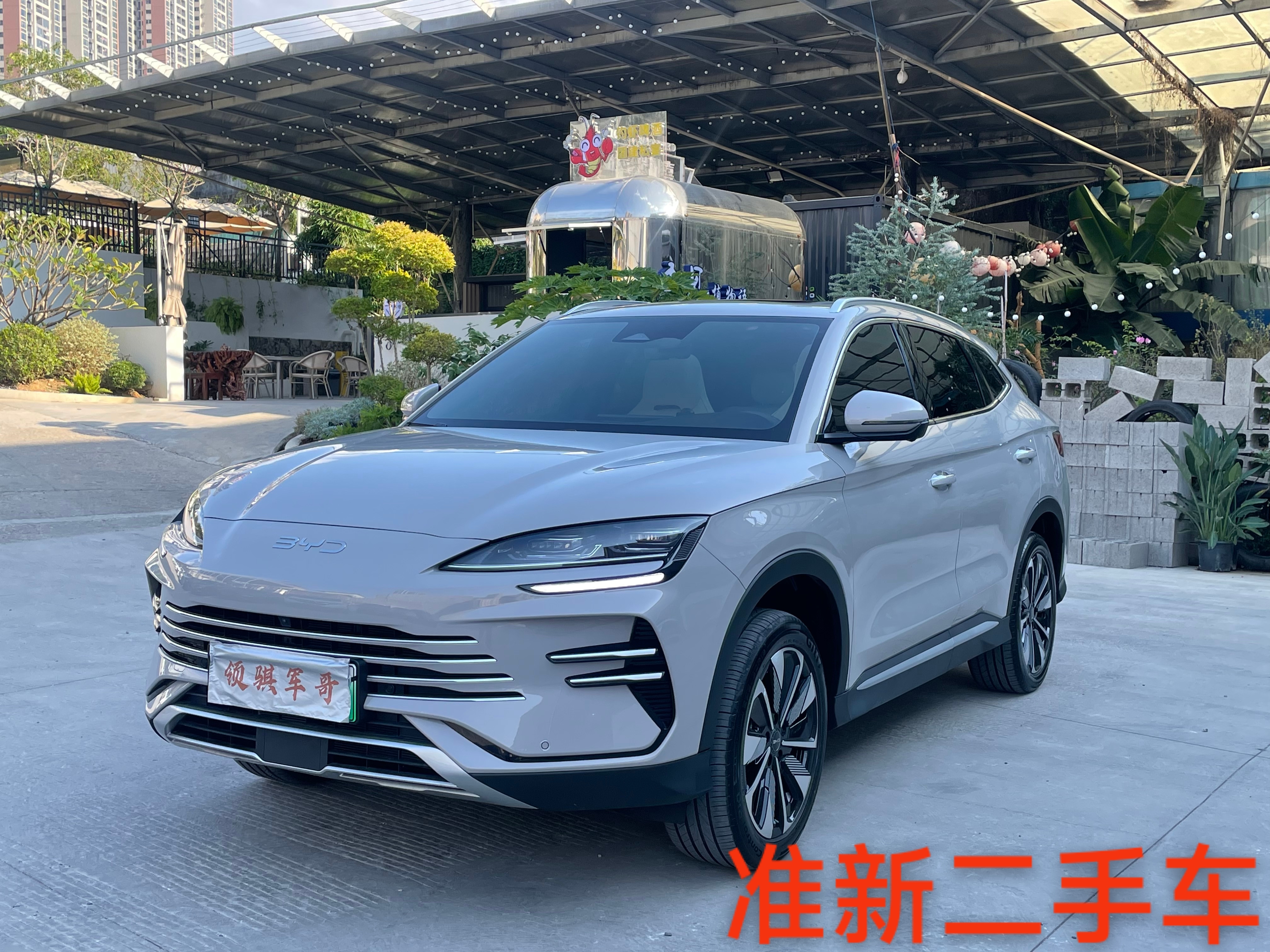 BYD Song Plus New Energy 2025 car image #2