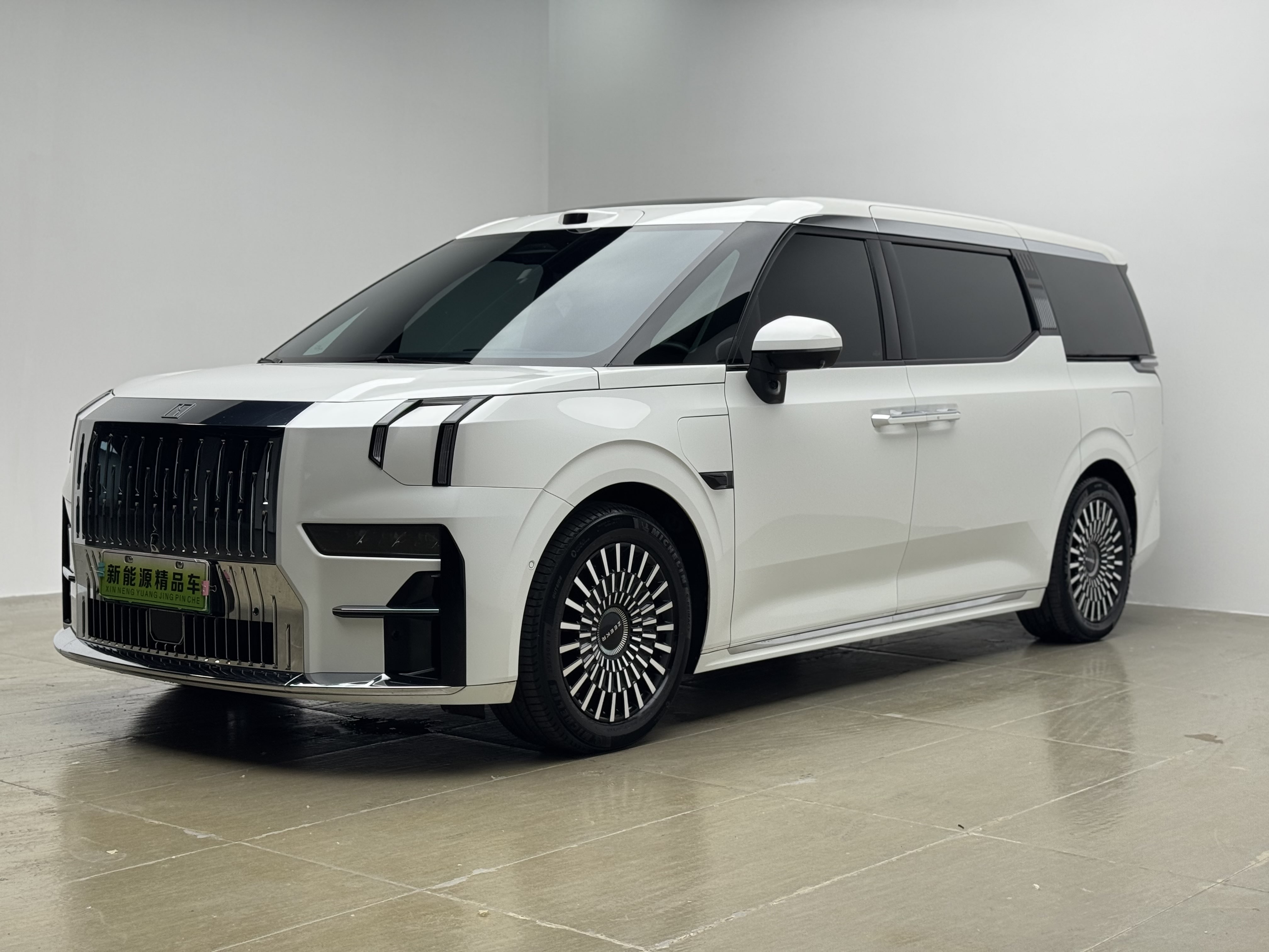 极氪 极氪009 2024 汽车图片 #2