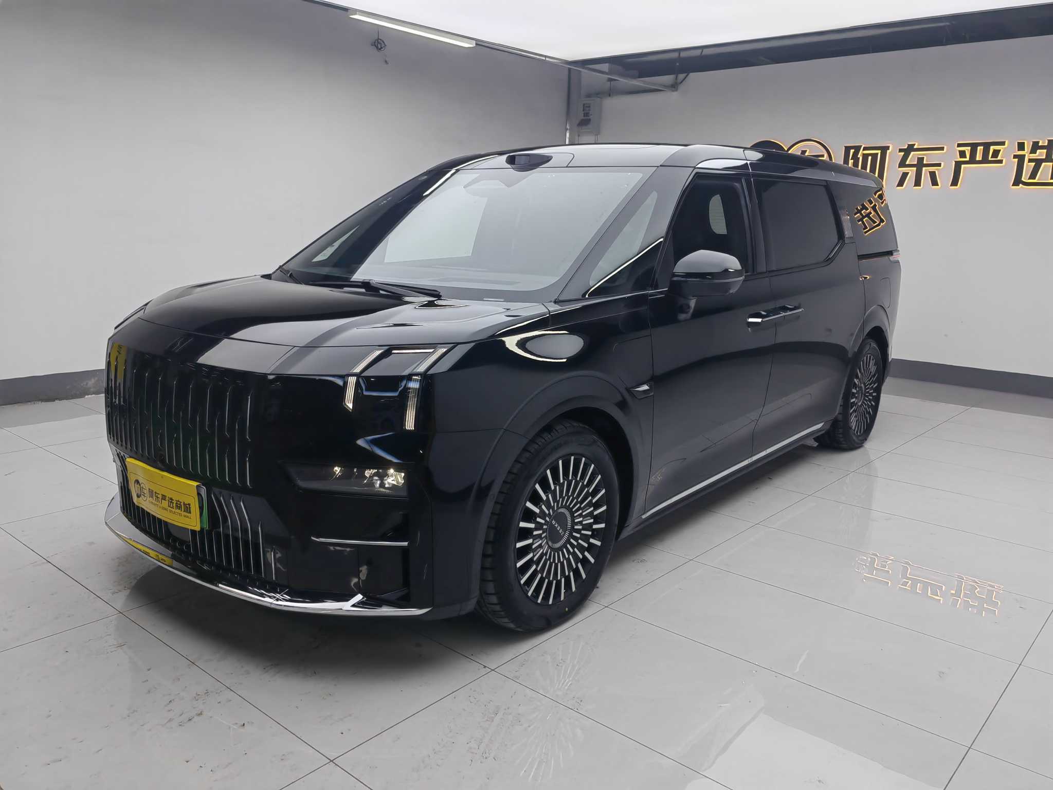 极氪 极氪009 2024 汽车图片 #2