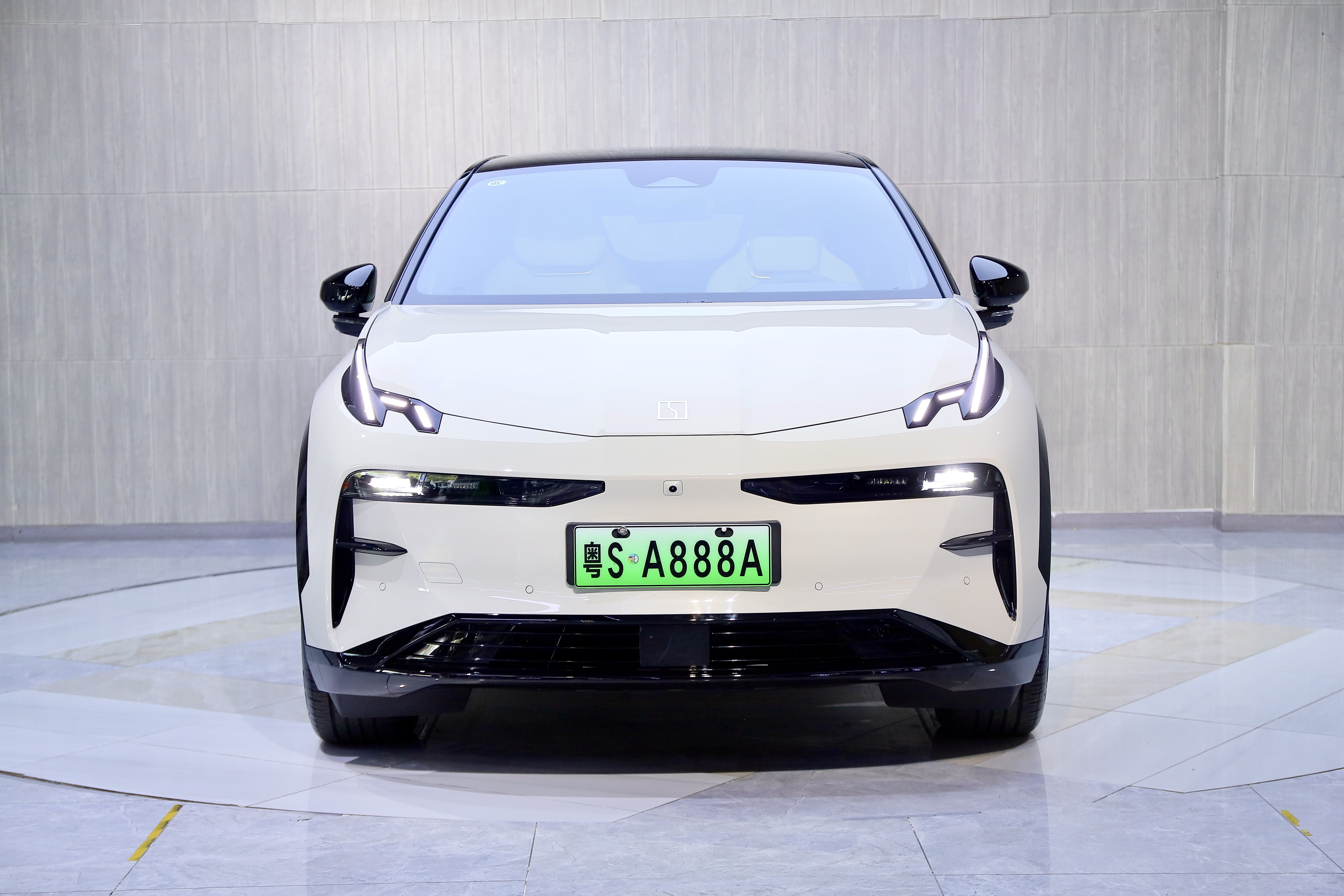 极氪 极氪X 2024 汽车图片 #2