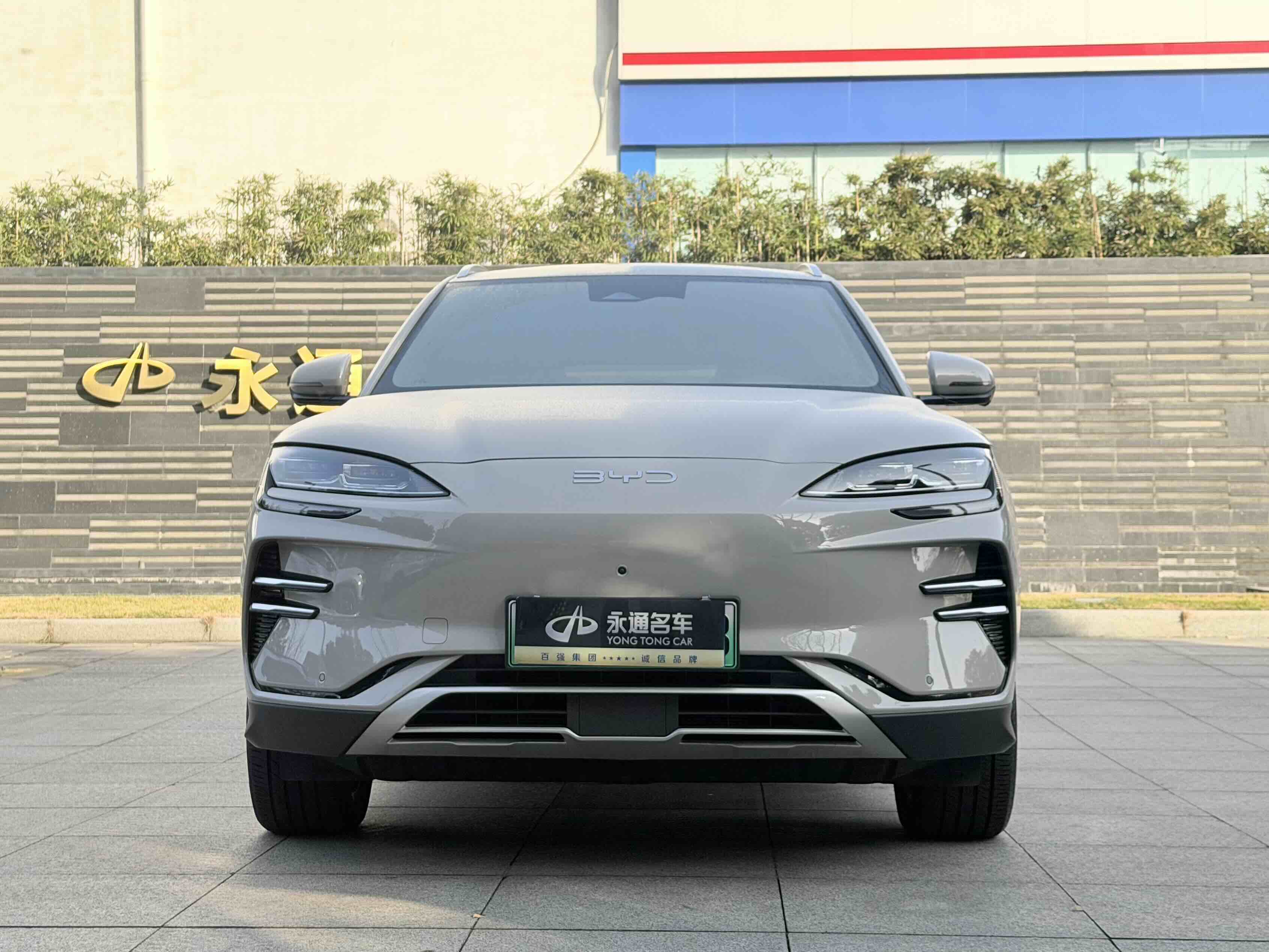 BYD Song Plus New Energy 2024 car image #2
