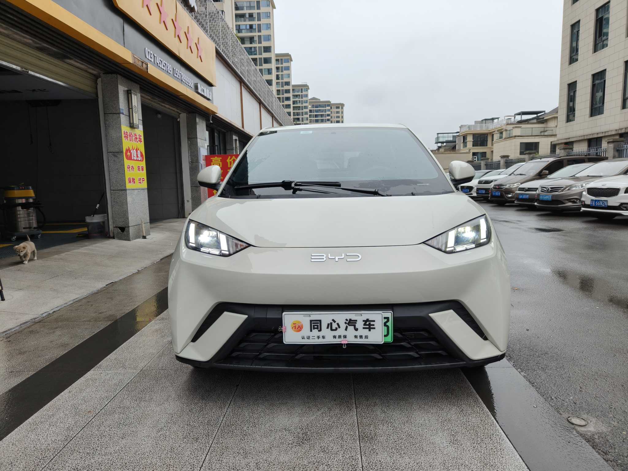 BYD Seagull 2025 immagine di auto #2