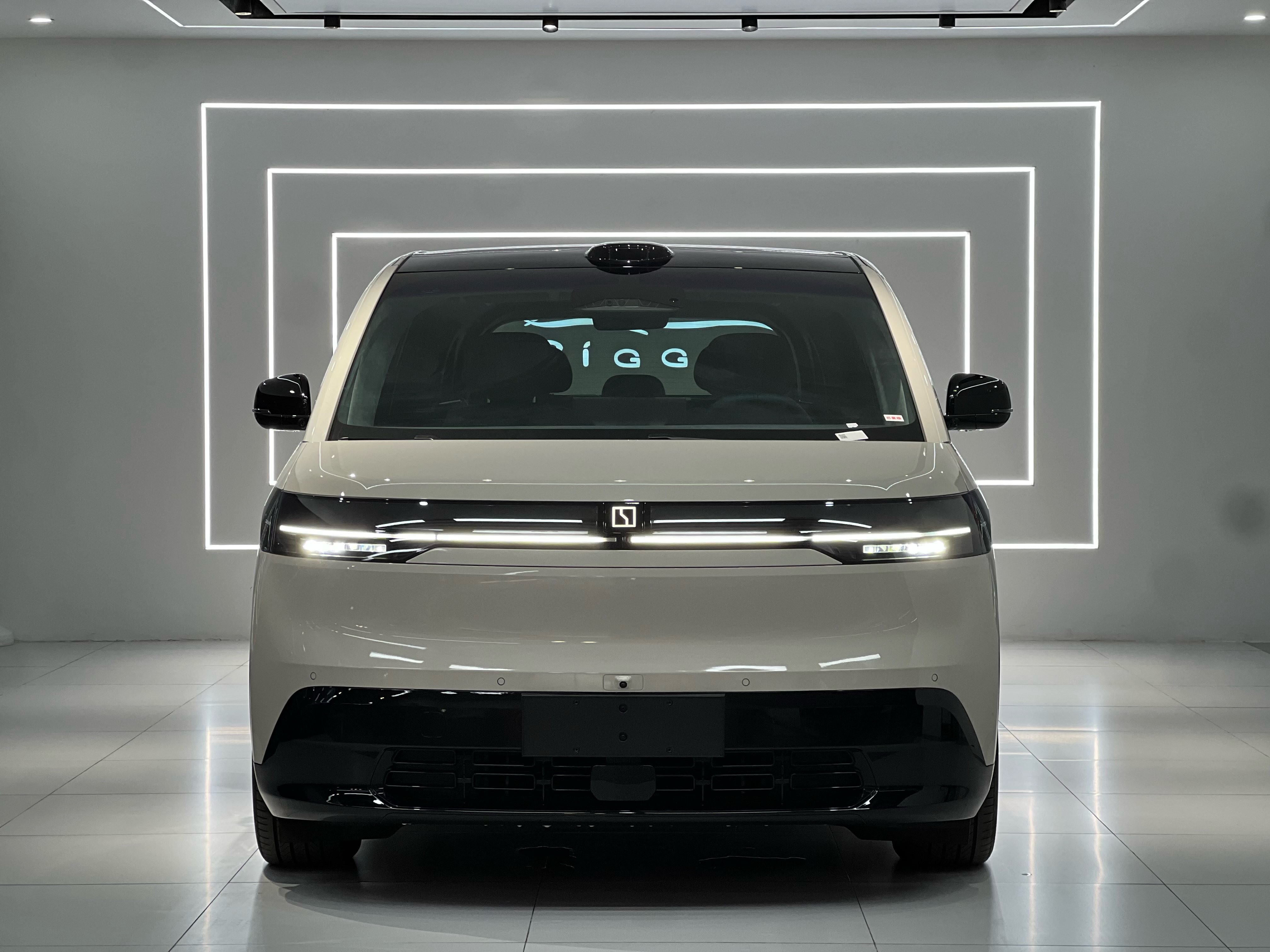 极氪 极氪MIX 2024 汽车图片 #2