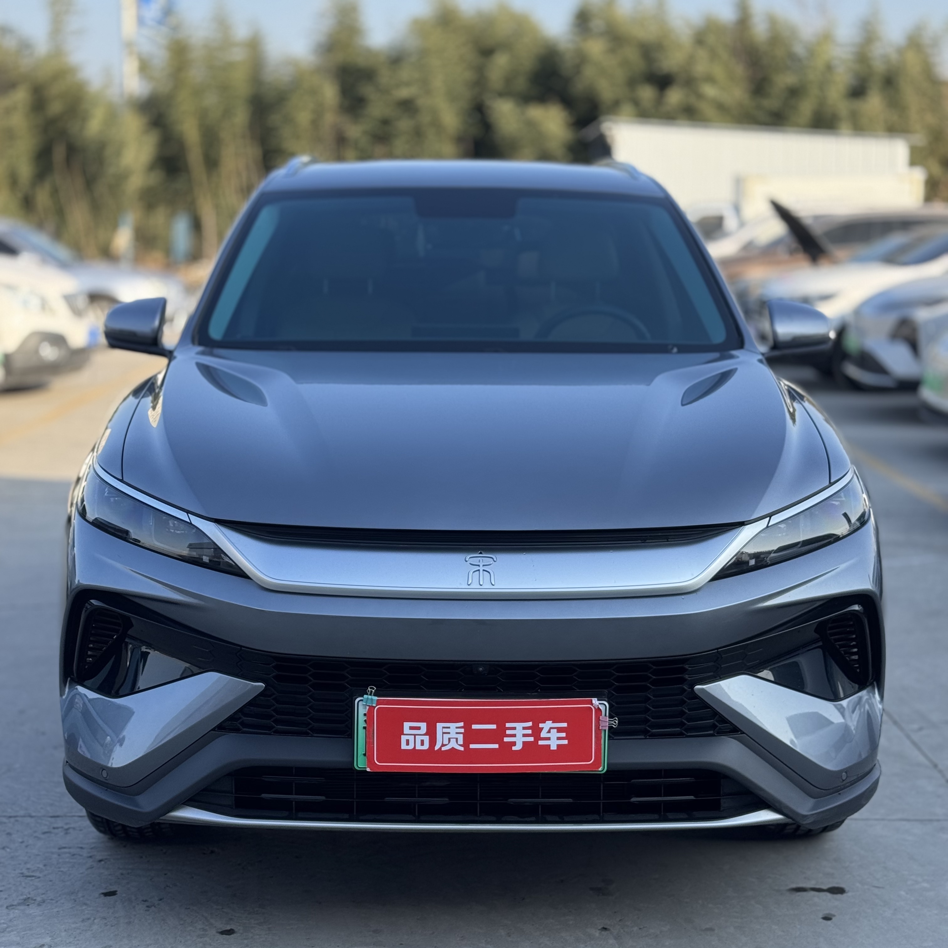 BYD Song Pro New Energy 2025 car image #2